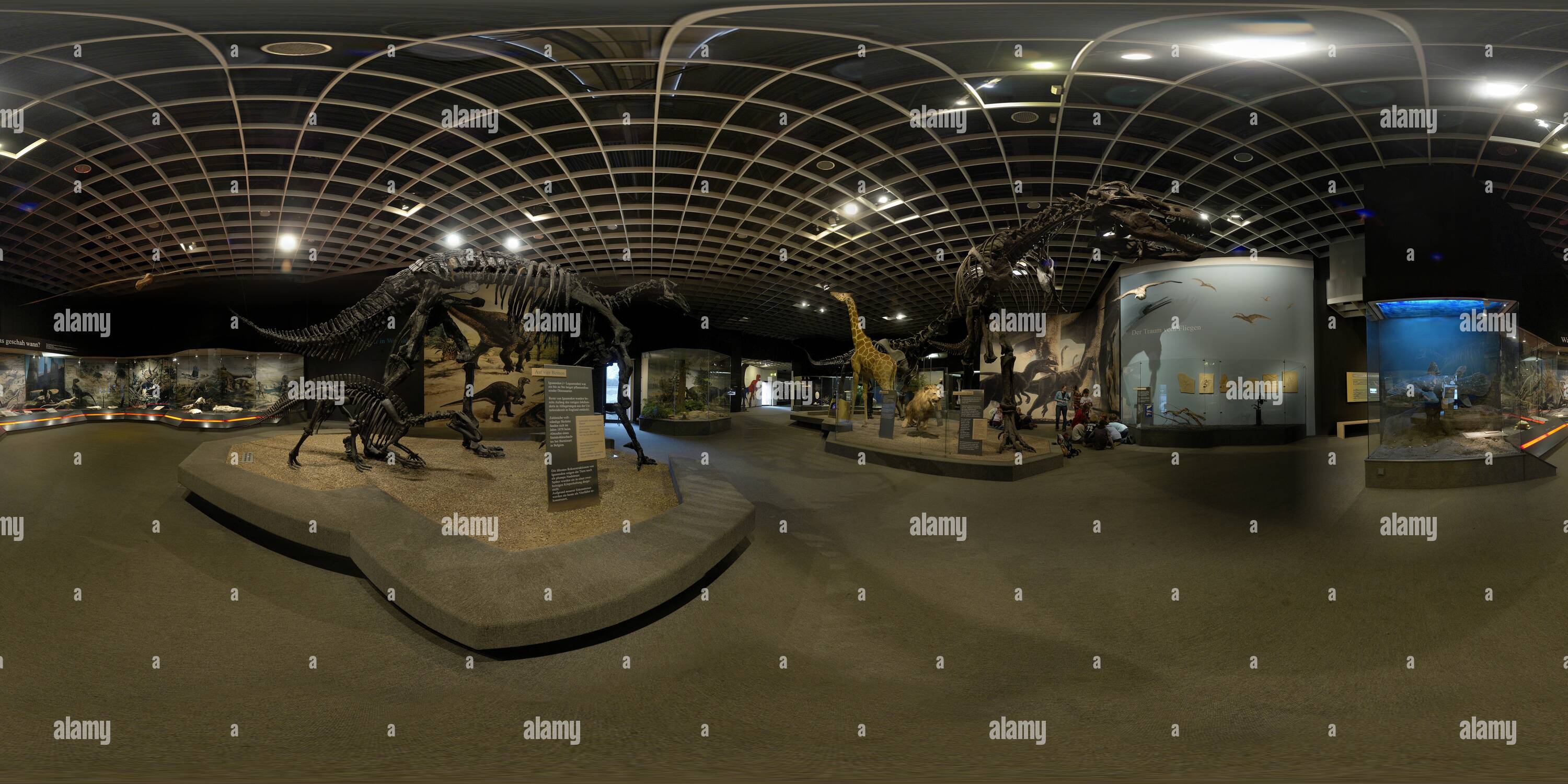 360 Grad Panorama Ansicht von Dinosaurier im Naturkundemuseum Münster LWL