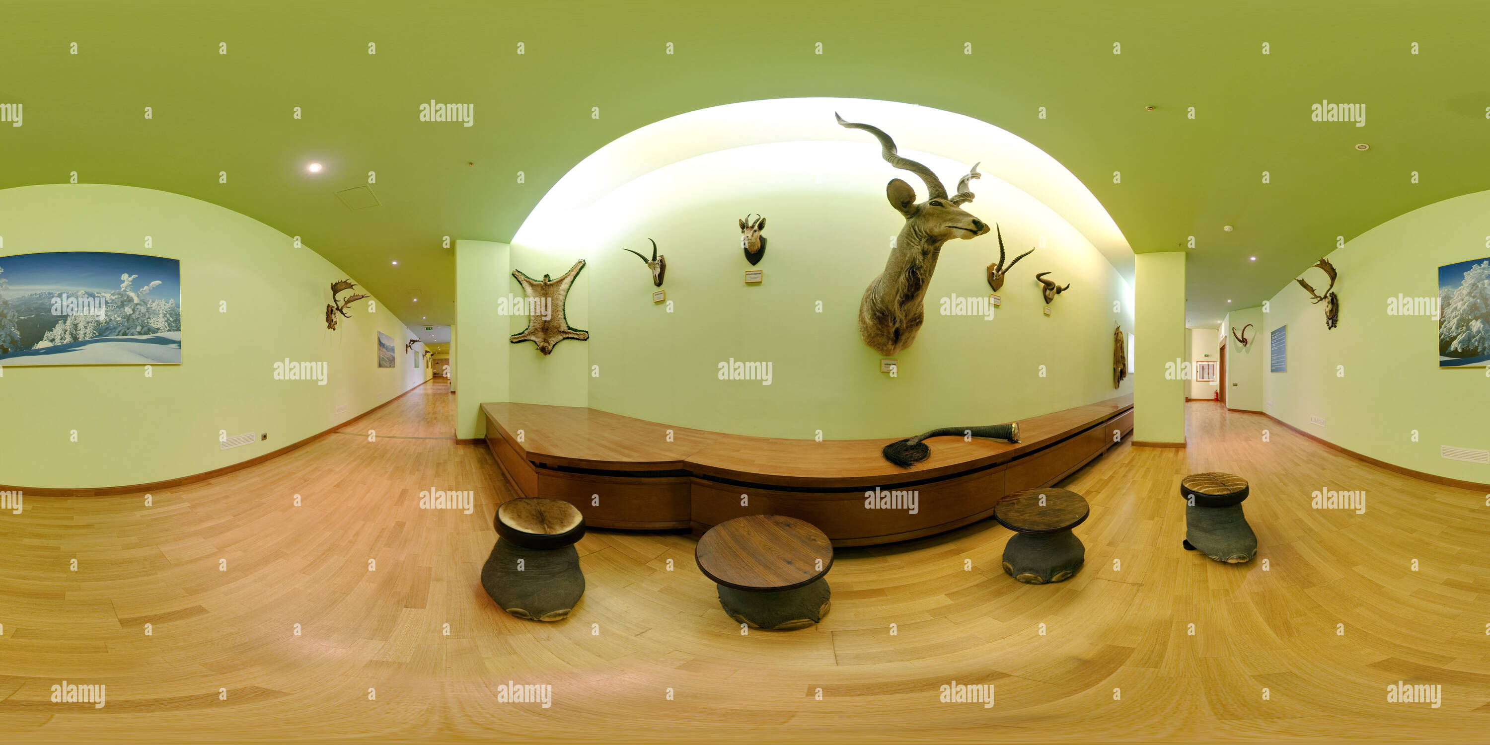 360 Grad Panorama Ansicht von Fremde Tiere im Jagdmuseum in Posada