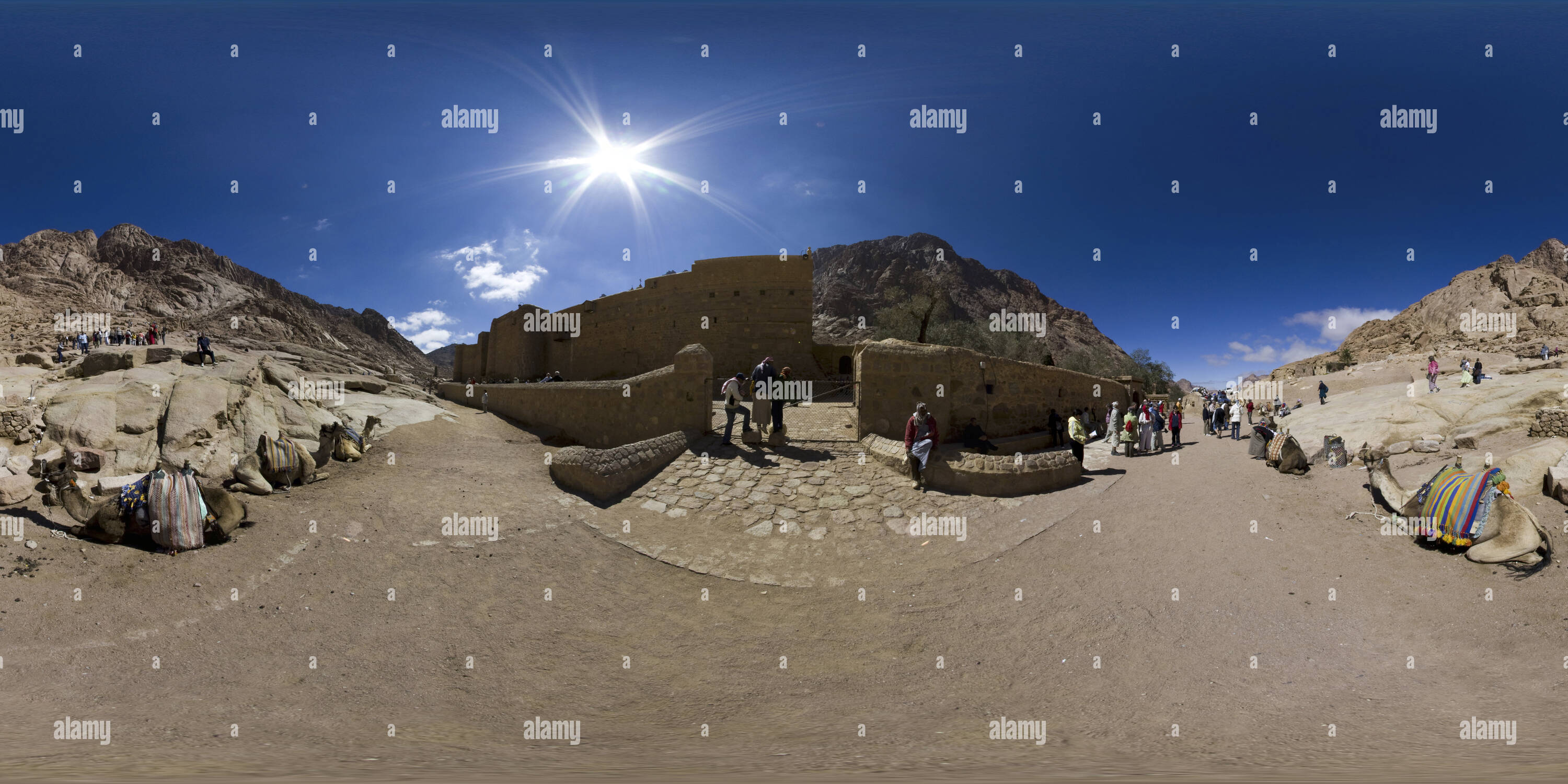 360 Grad Panorama Ansicht von Kamele außerhalb St Katherine's Kloster, Sinai