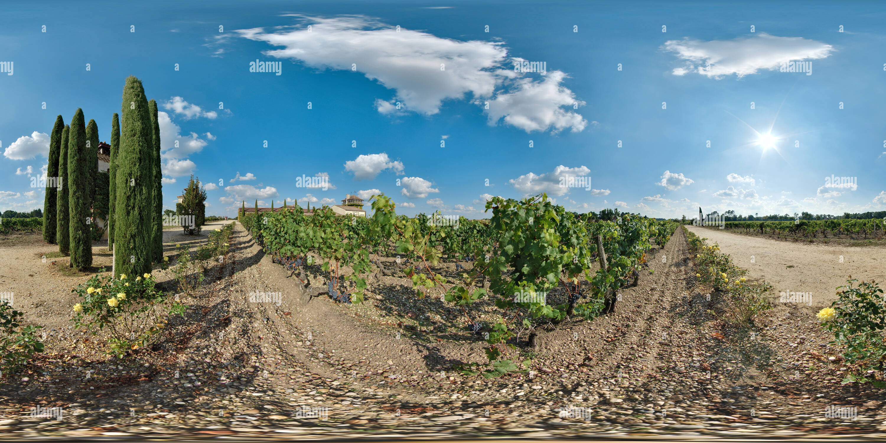 360 Grad Panorama Ansicht von Léognan: vignoble du Château Smith Haut-Lafitte