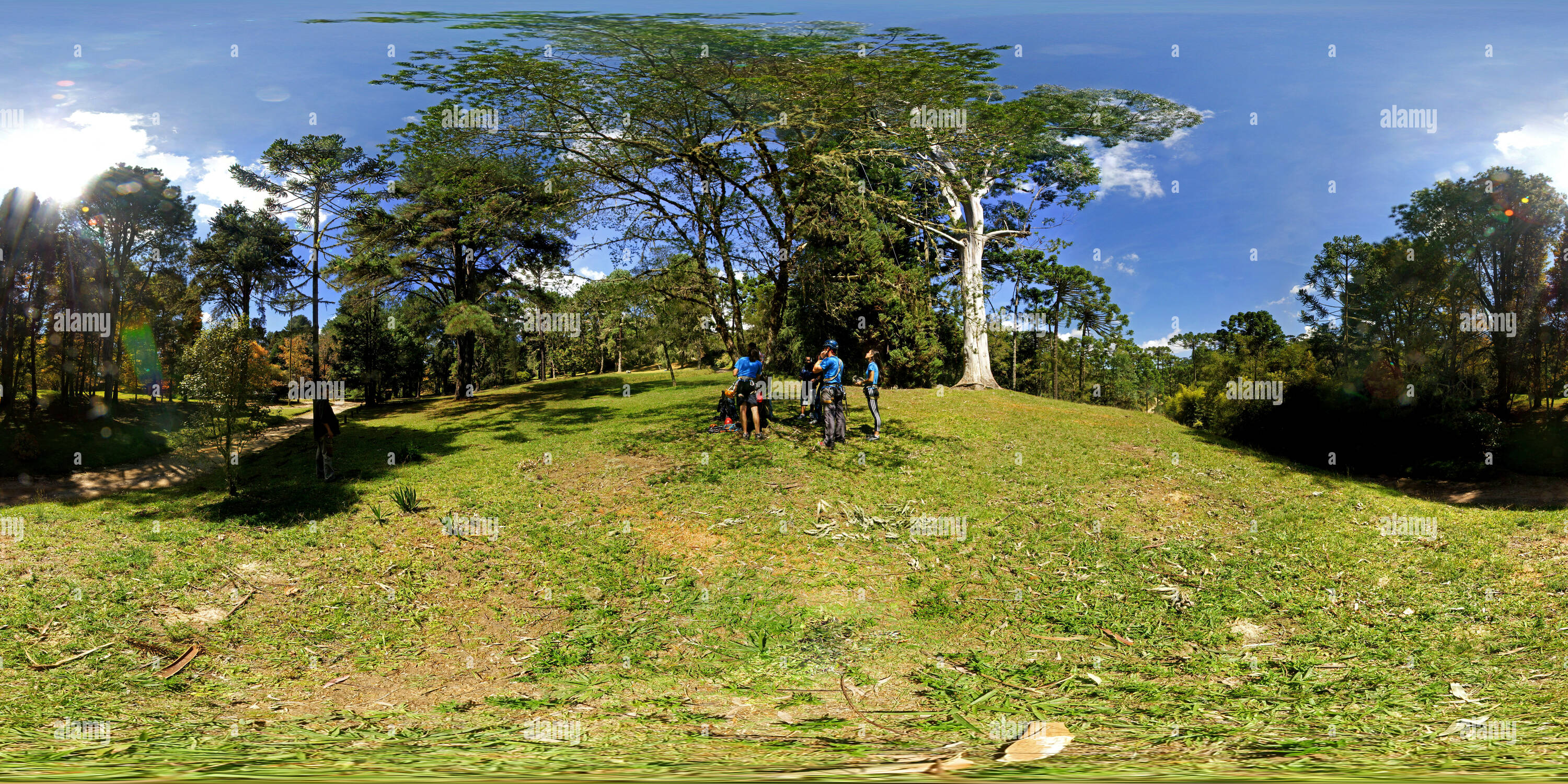 360 Grad Panorama Ansicht von Preparativos para Escalada em Árvore keine horto Florestal
