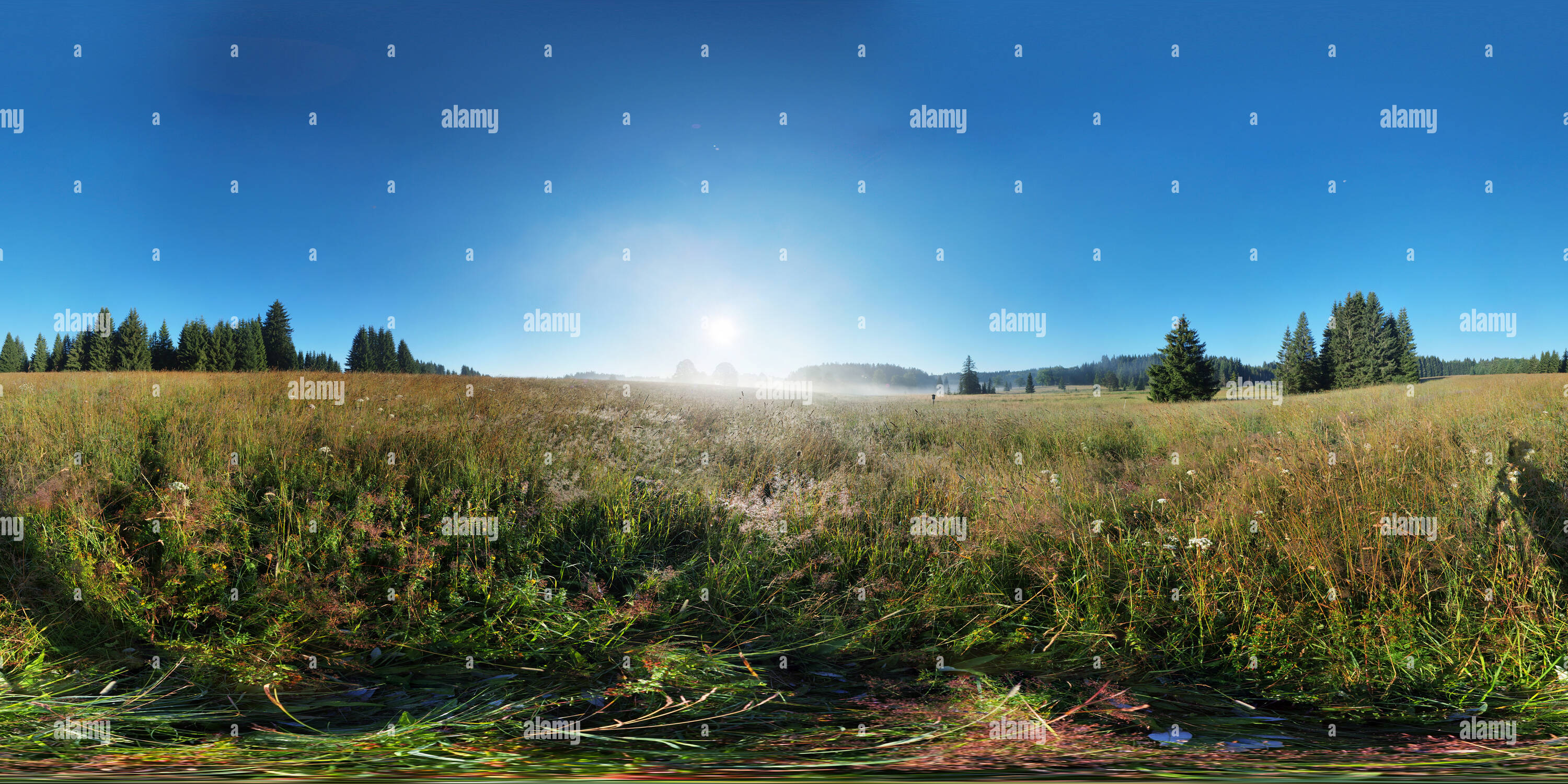 360 Grad Panorama Ansicht von Novohradske Berge - Wiese 2