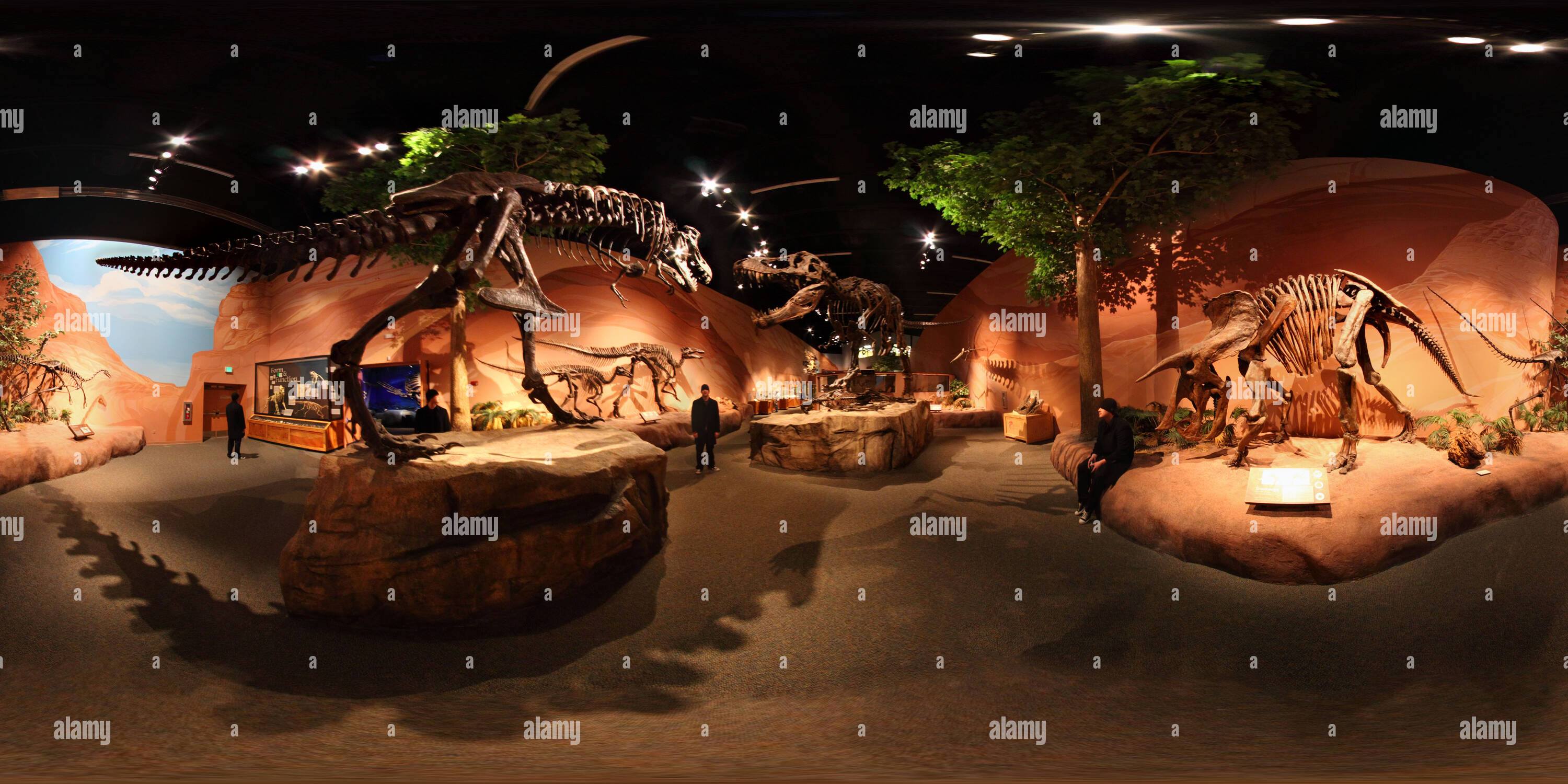 360 Grad Panorama Ansicht von Dinosaurier Zimmer am Thanksgiving Punkt