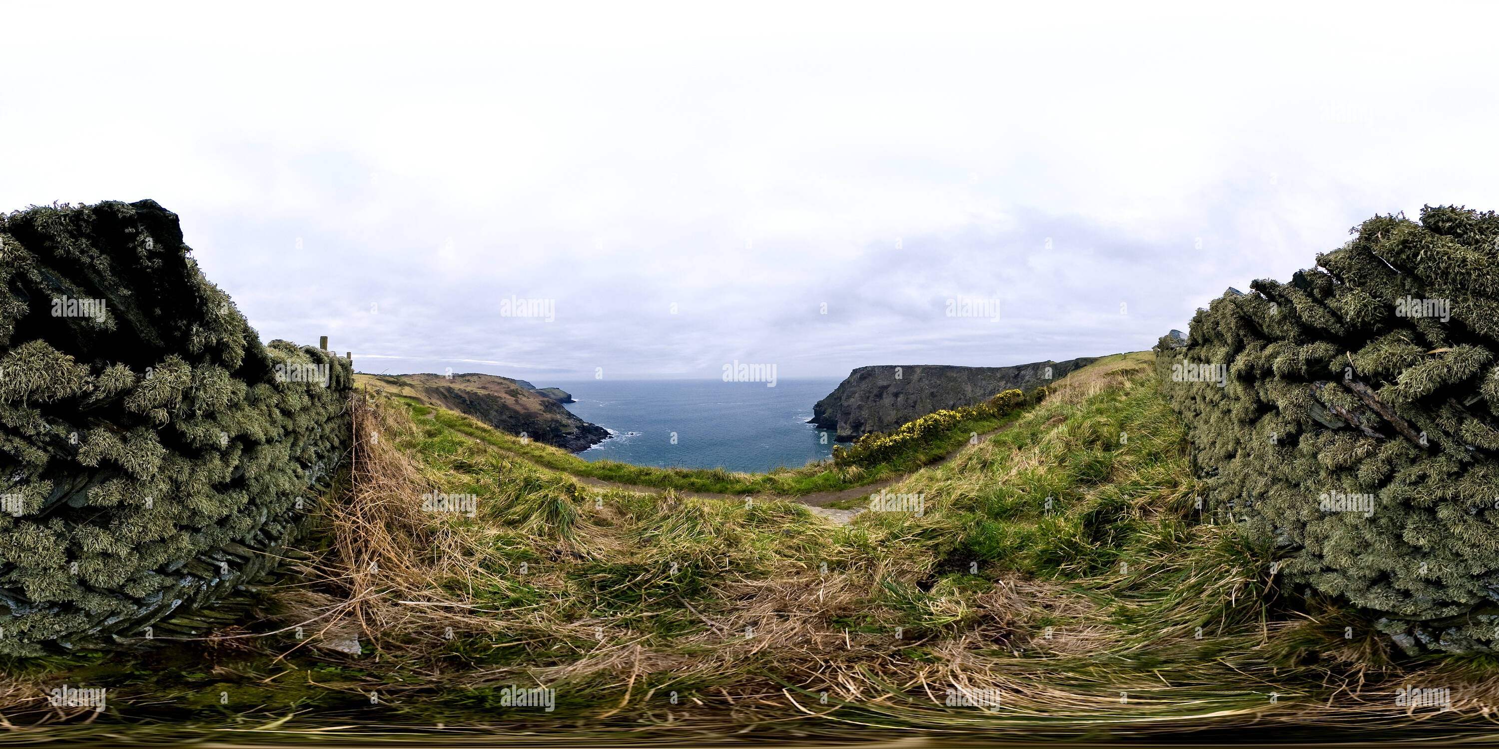 360 Grad Panorama Ansicht von Die Cornish Coastal Path in der Nähe von Tintagel, Cornwall. VR