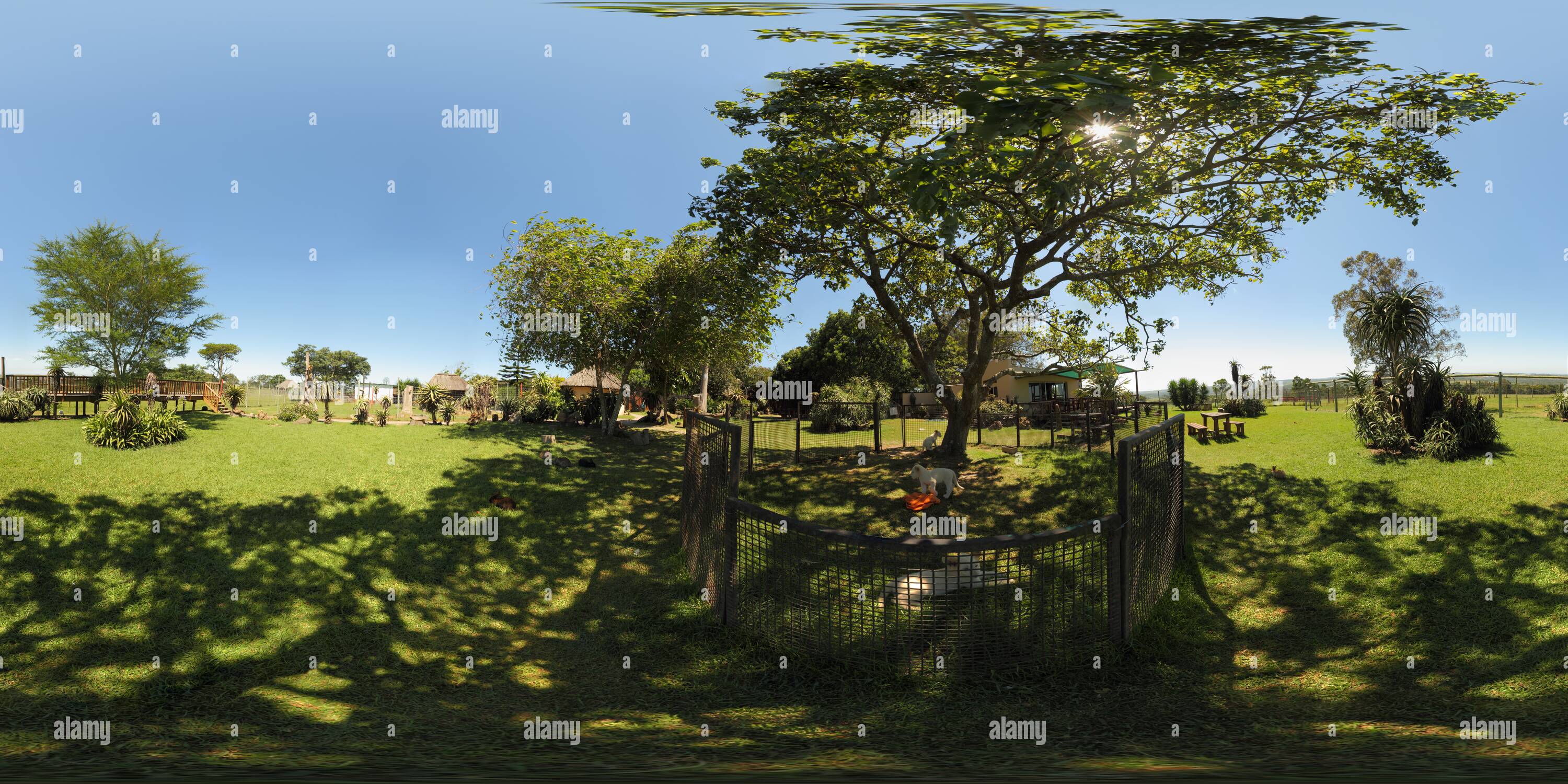 360 Grad Panorama Ansicht von Lion Park in East London, Südafrika