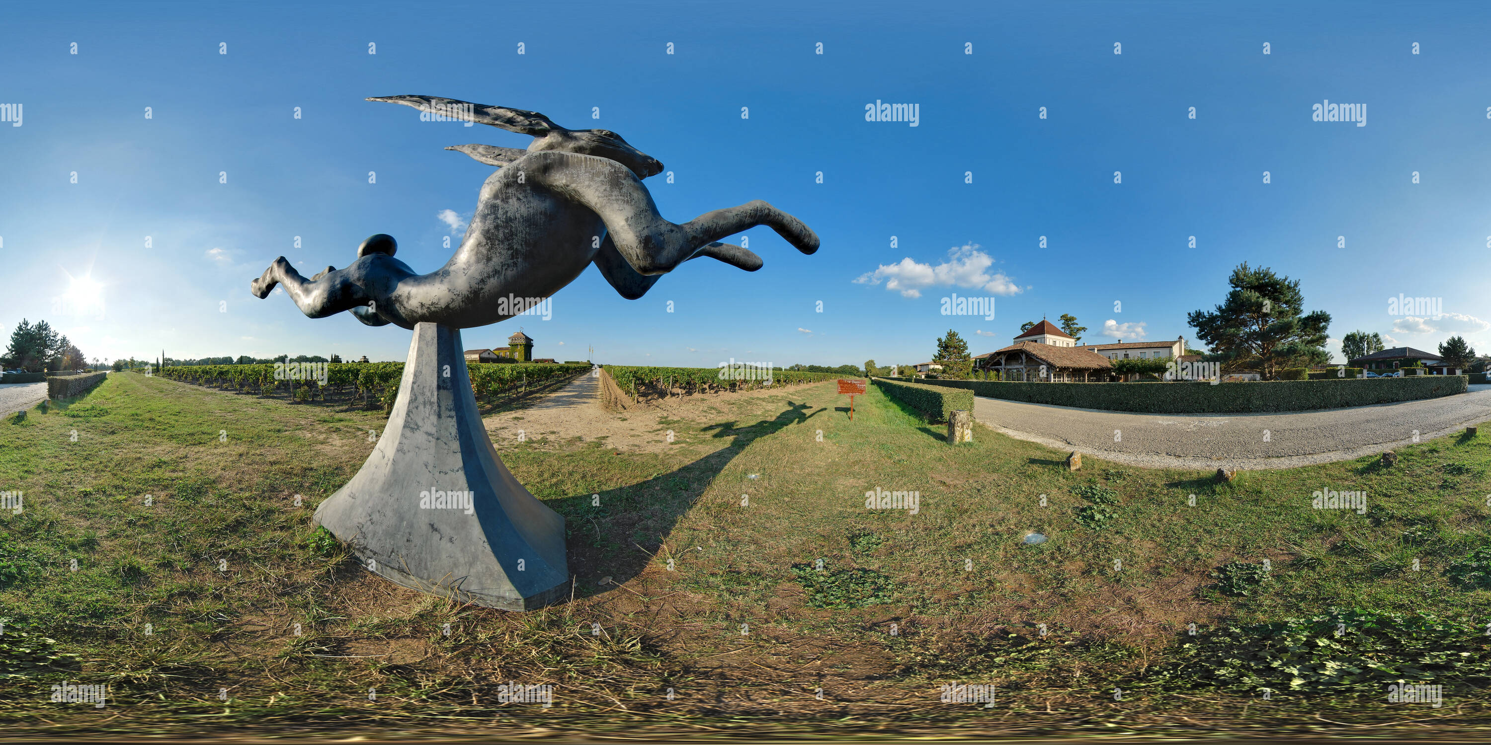 360 Grad Panorama Ansicht von Lièvre bondissant du Château Smith-Haut-Lafitte - Frankreich