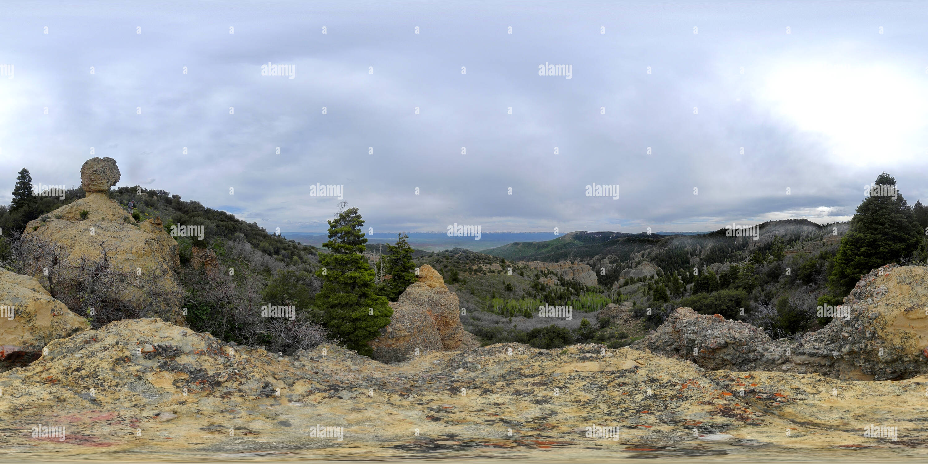 360 Grad Panorama Ansicht von Ahorn Canyon, San Pitch Berge, Utah, USA