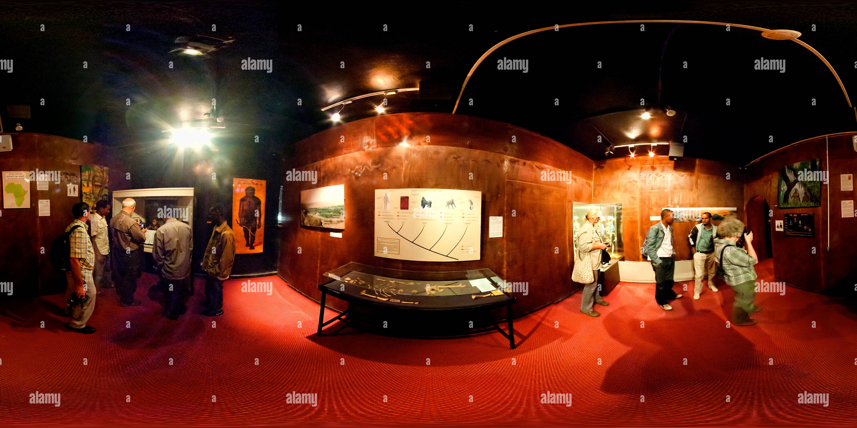 360 Grad Panorama Ansicht von Ethiopian National Museum LUCY Ausstellung