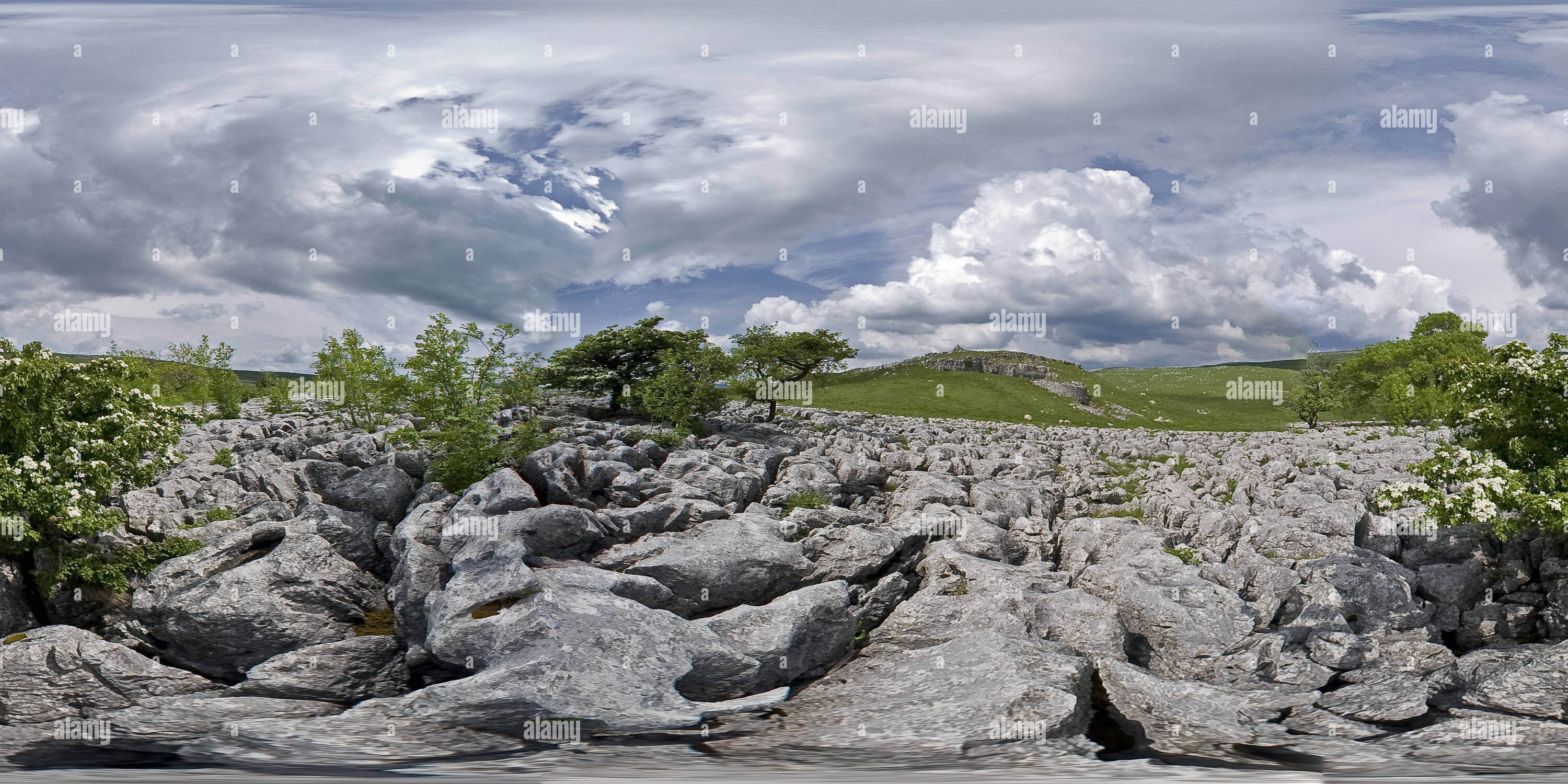 360 Grad Panorama Ansicht von Kalkstein Pflaster in der Nähe von conistone in den Yorkshire Dales.