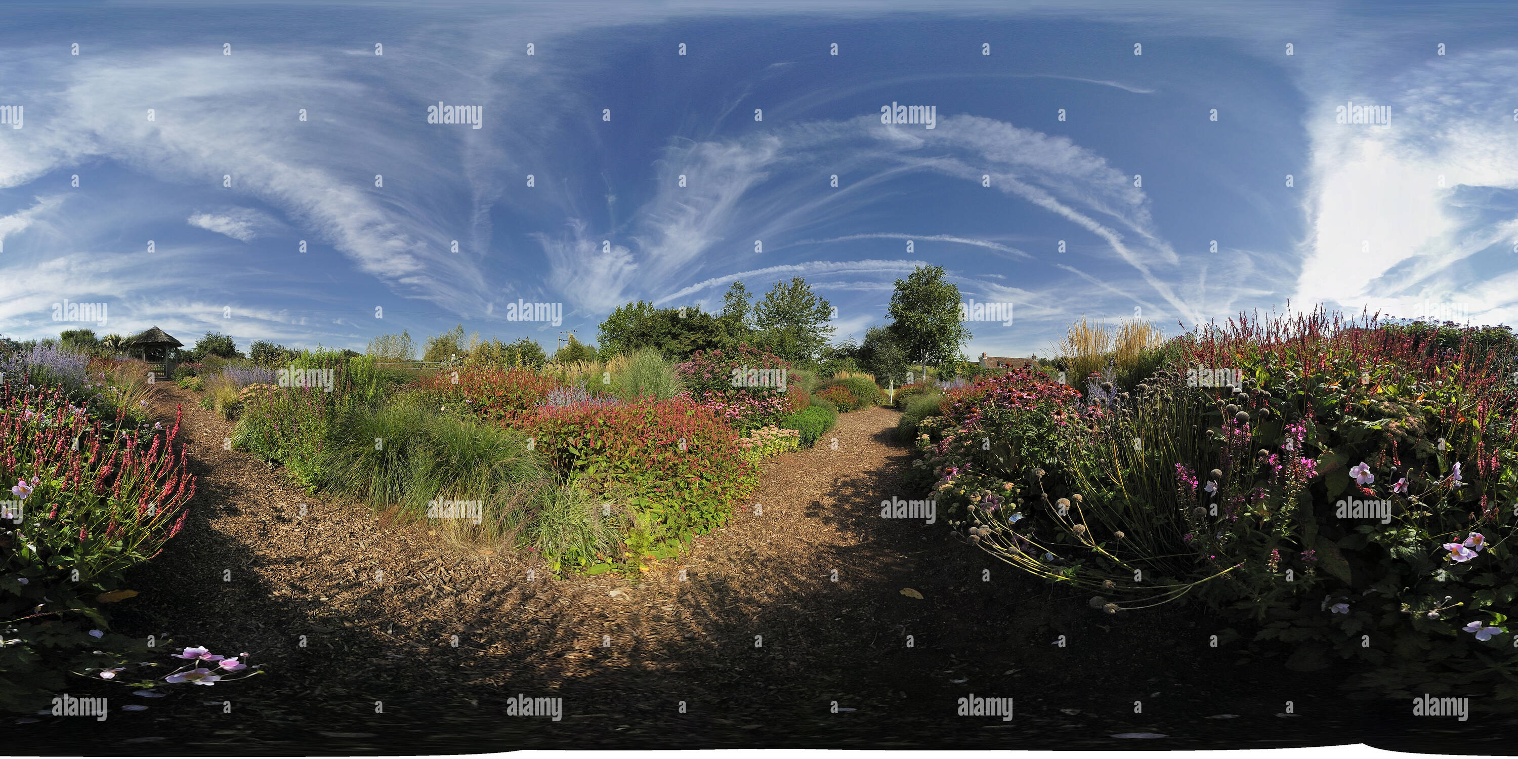 360 Grad Panorama Ansicht von Ladyfarm Garten 4, Chelwood, Somerset. VR