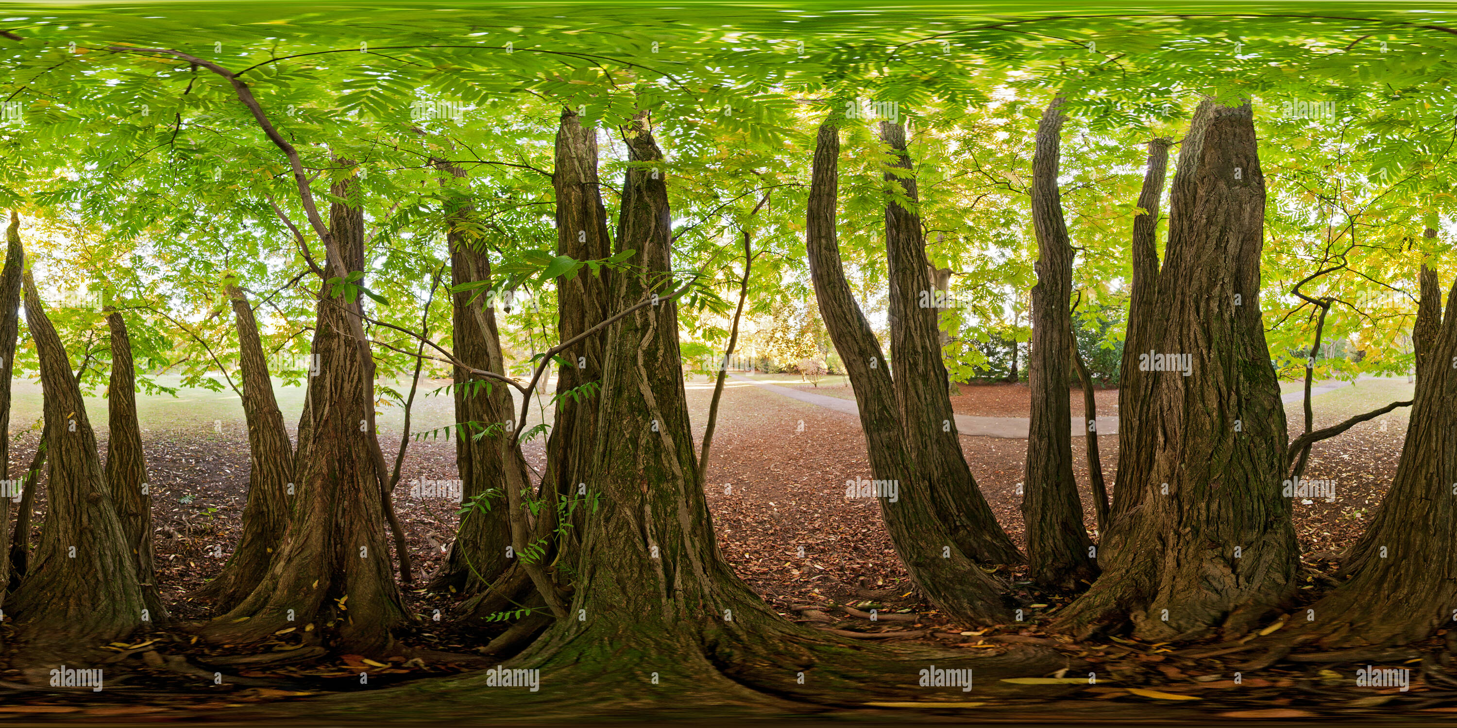 Universitat Hohenheim Stockfotos Und Bilder Kaufen Alamy