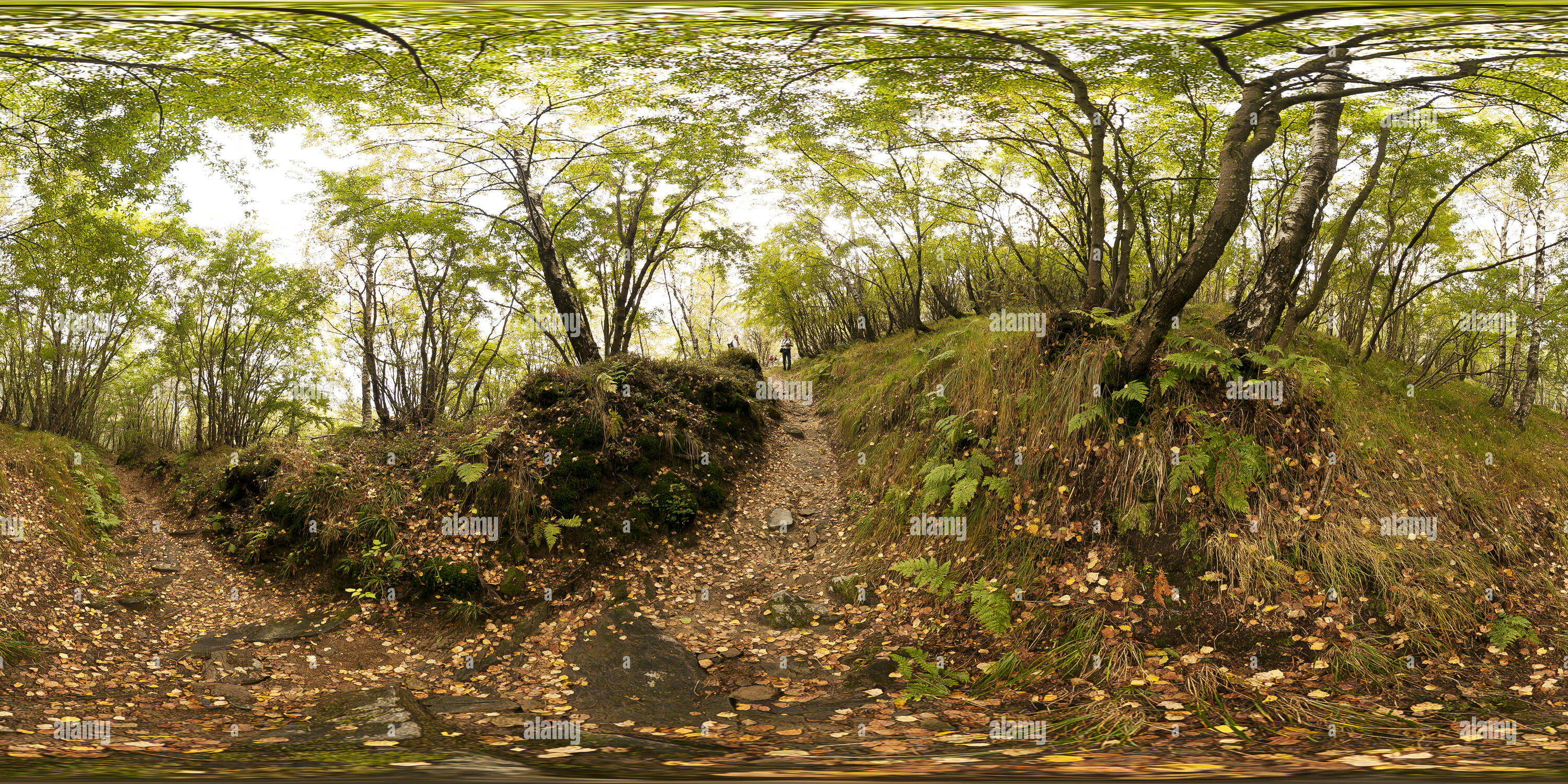 360 Grad Panorama Ansicht von Nei boschi della Valle Intelvi