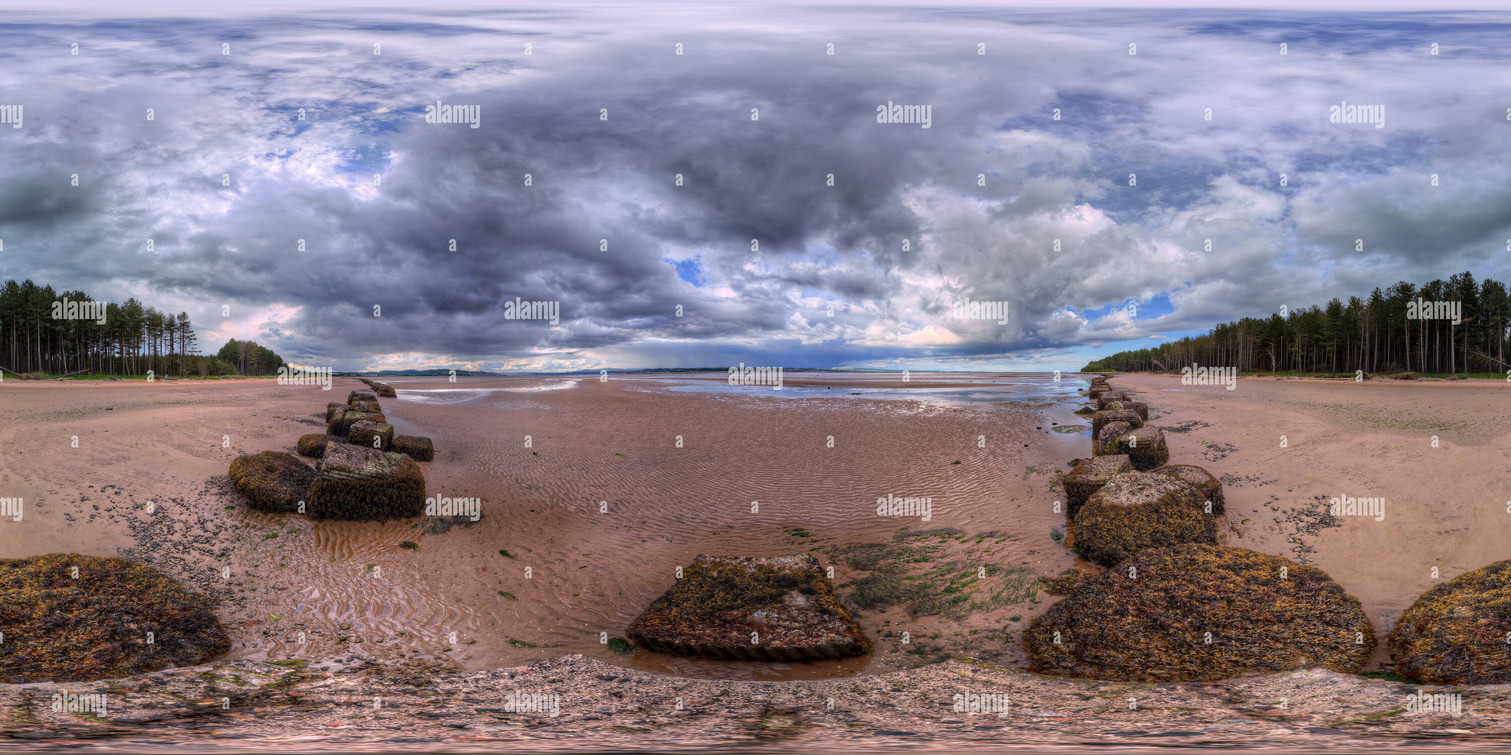 360 °-Ansicht auf Tentsmuir Wald Strand - Alamy