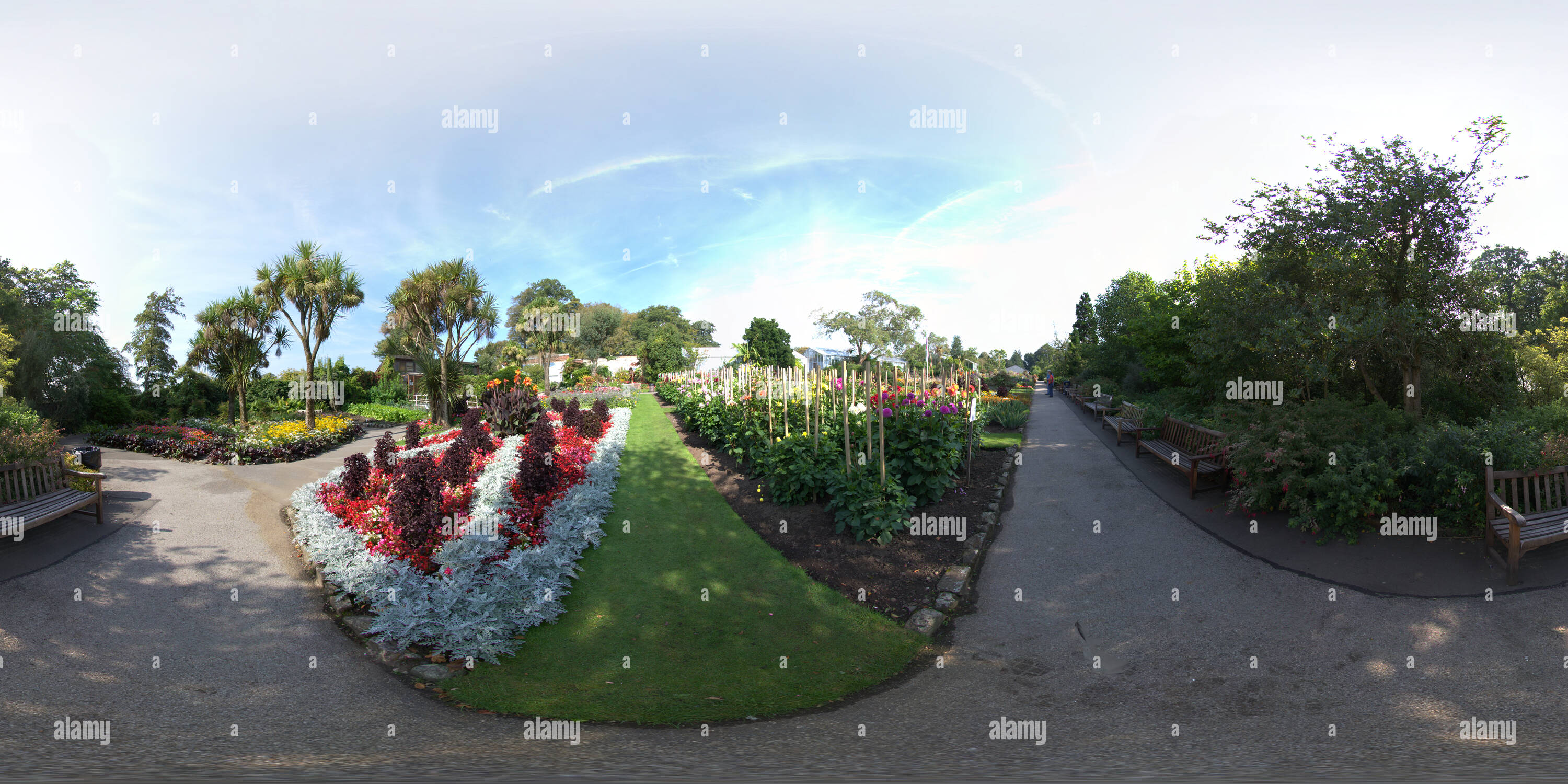 360 Grad Panorama Ansicht von Singleton Botanic Gardens 8.