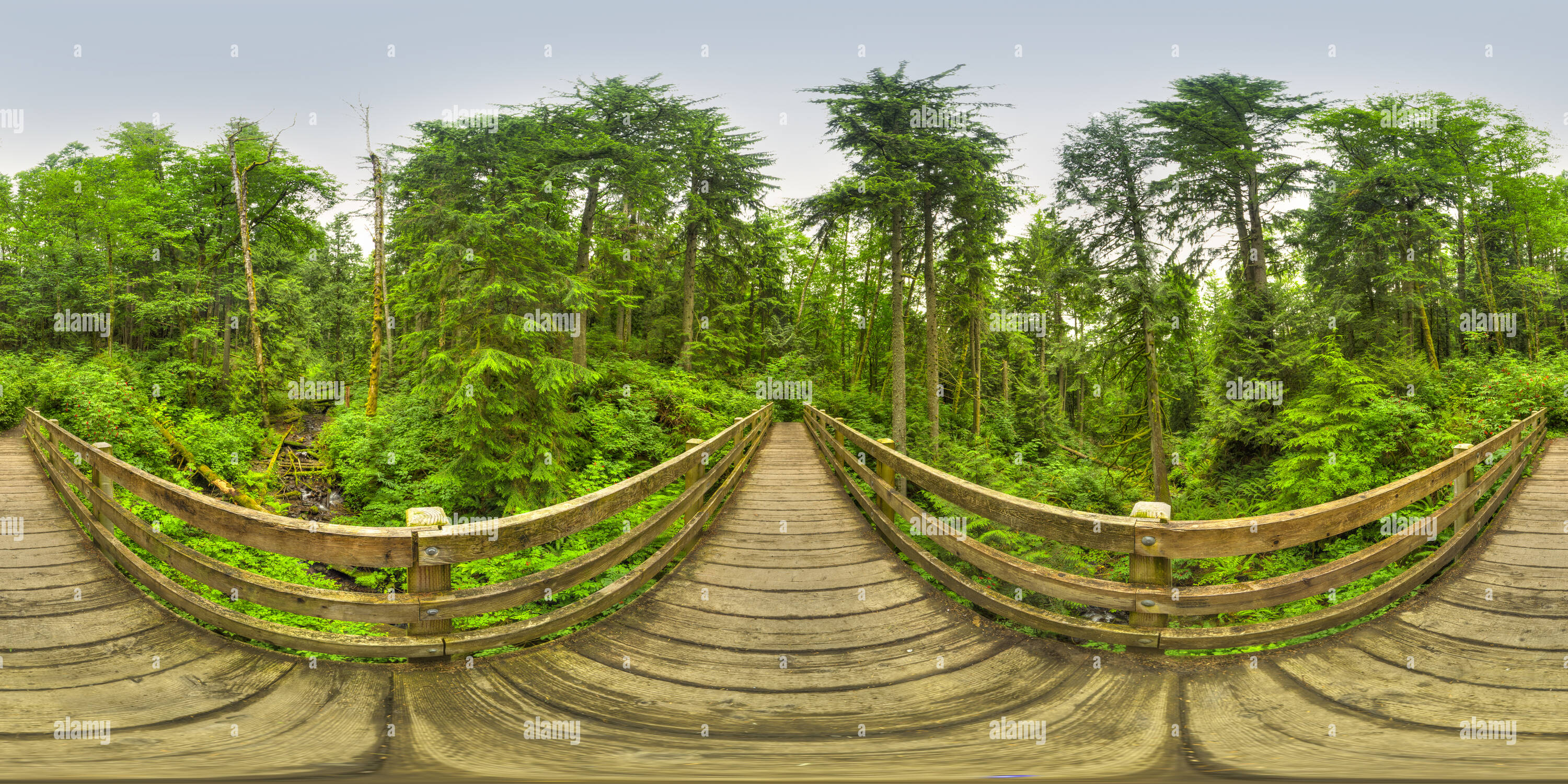 360 Grad Panorama Ansicht von Poo Poo Point Trail, Gap Creek Bridge, Issaquah, WA