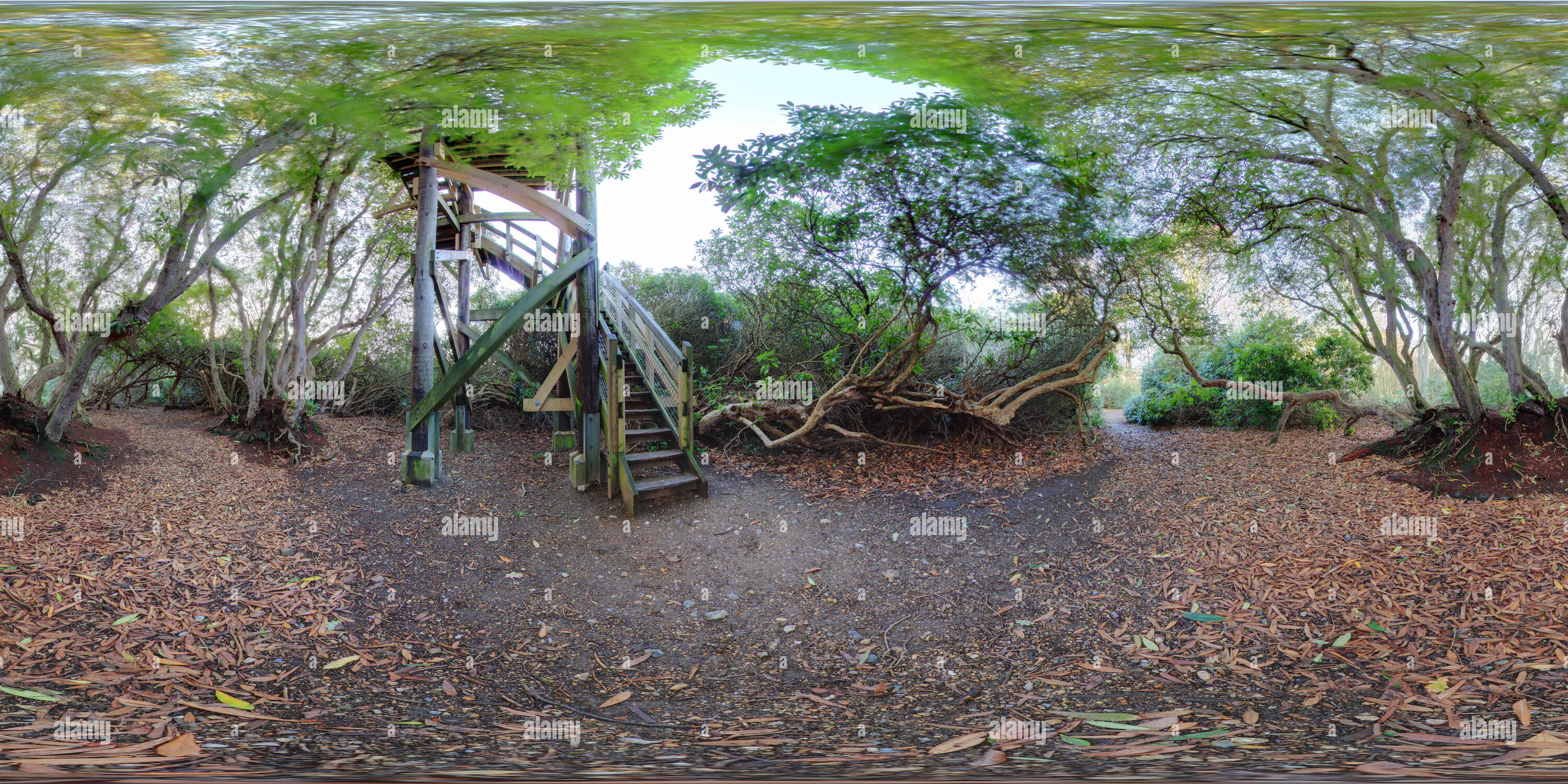 360 Grad Panorama Ansicht von Sheringham Park