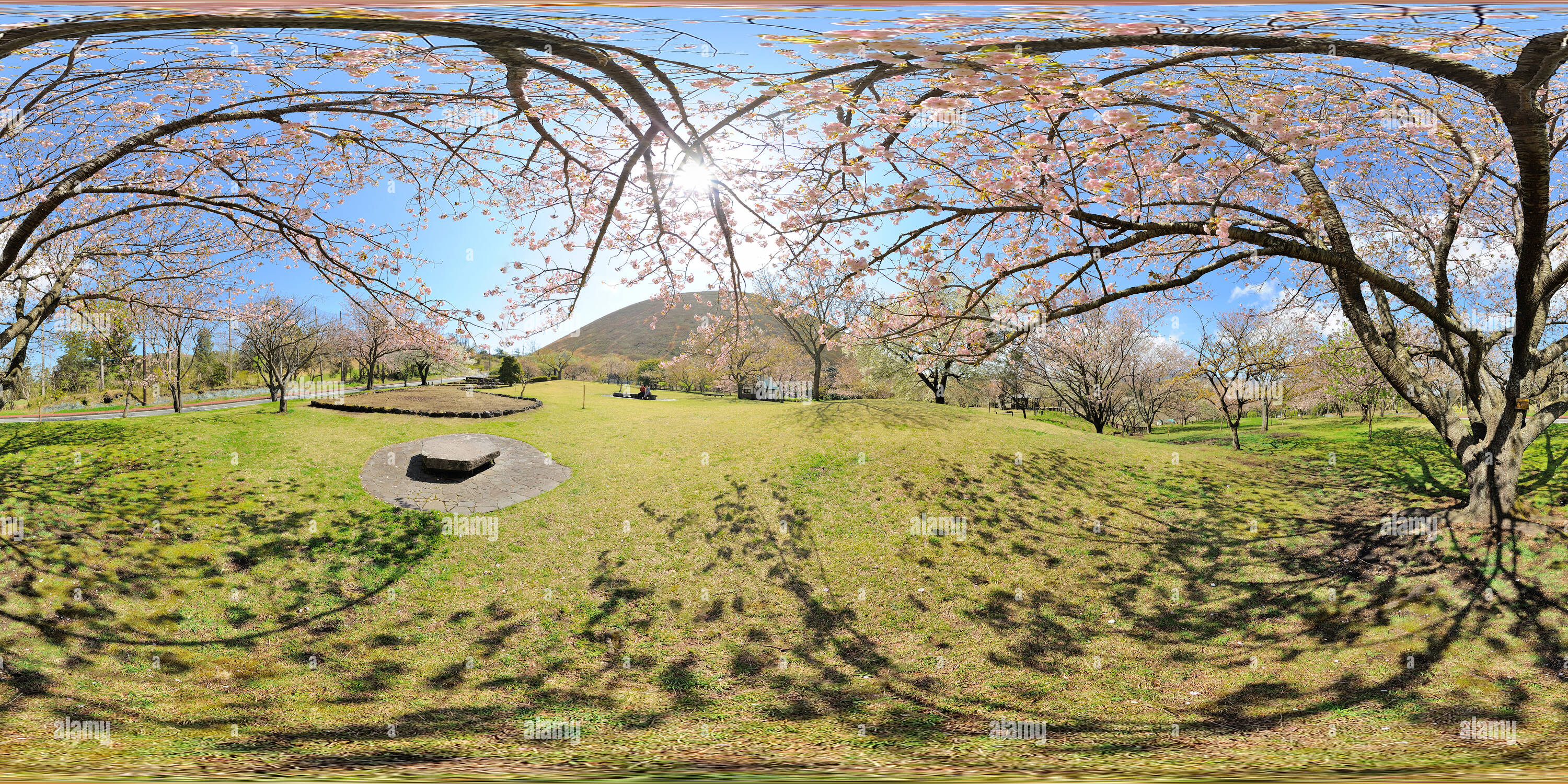 360 Grad Panorama Ansicht von Sakura no Sato 2