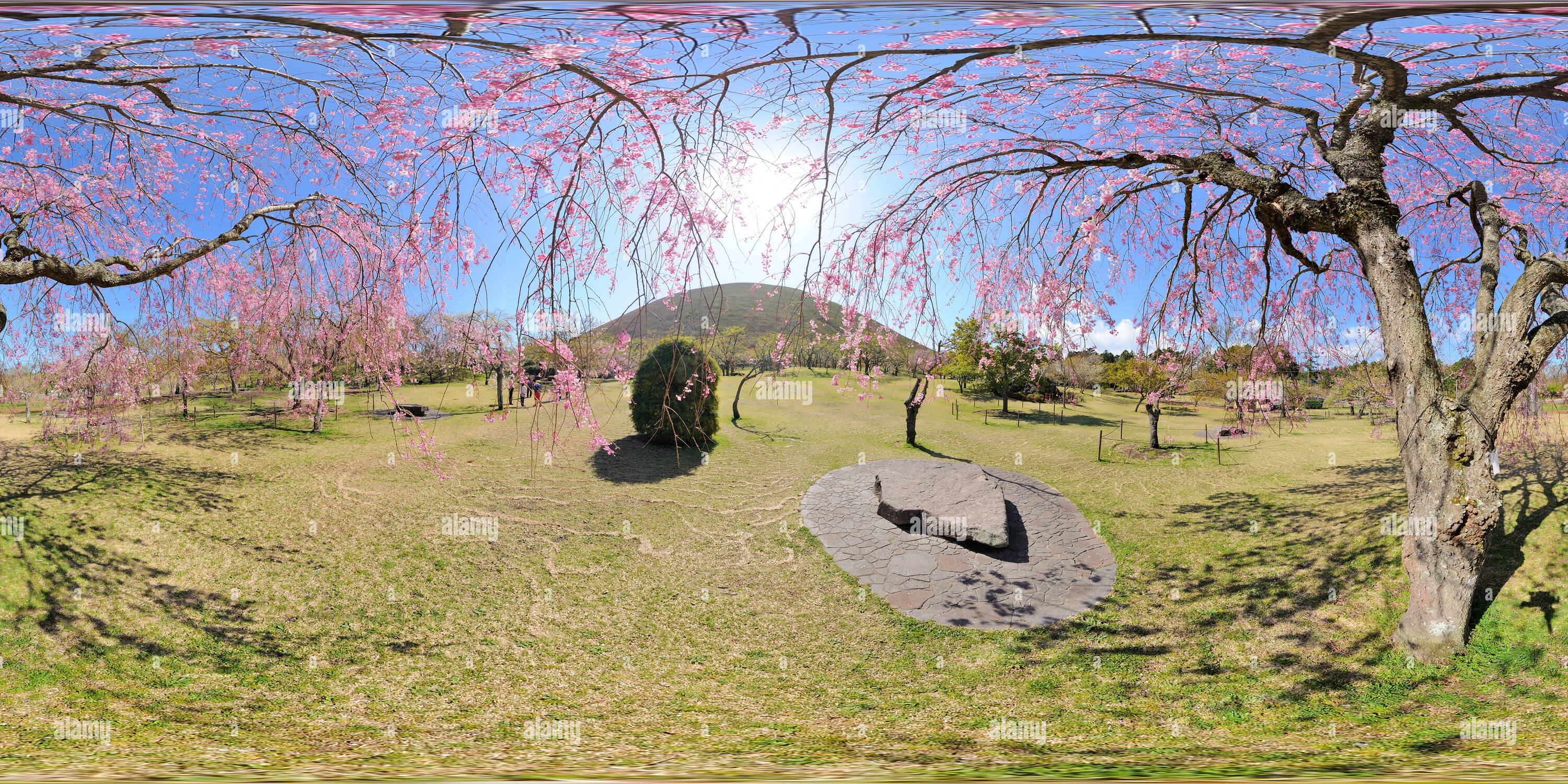 360 Grad Panorama Ansicht von Sakura no Sato 1.