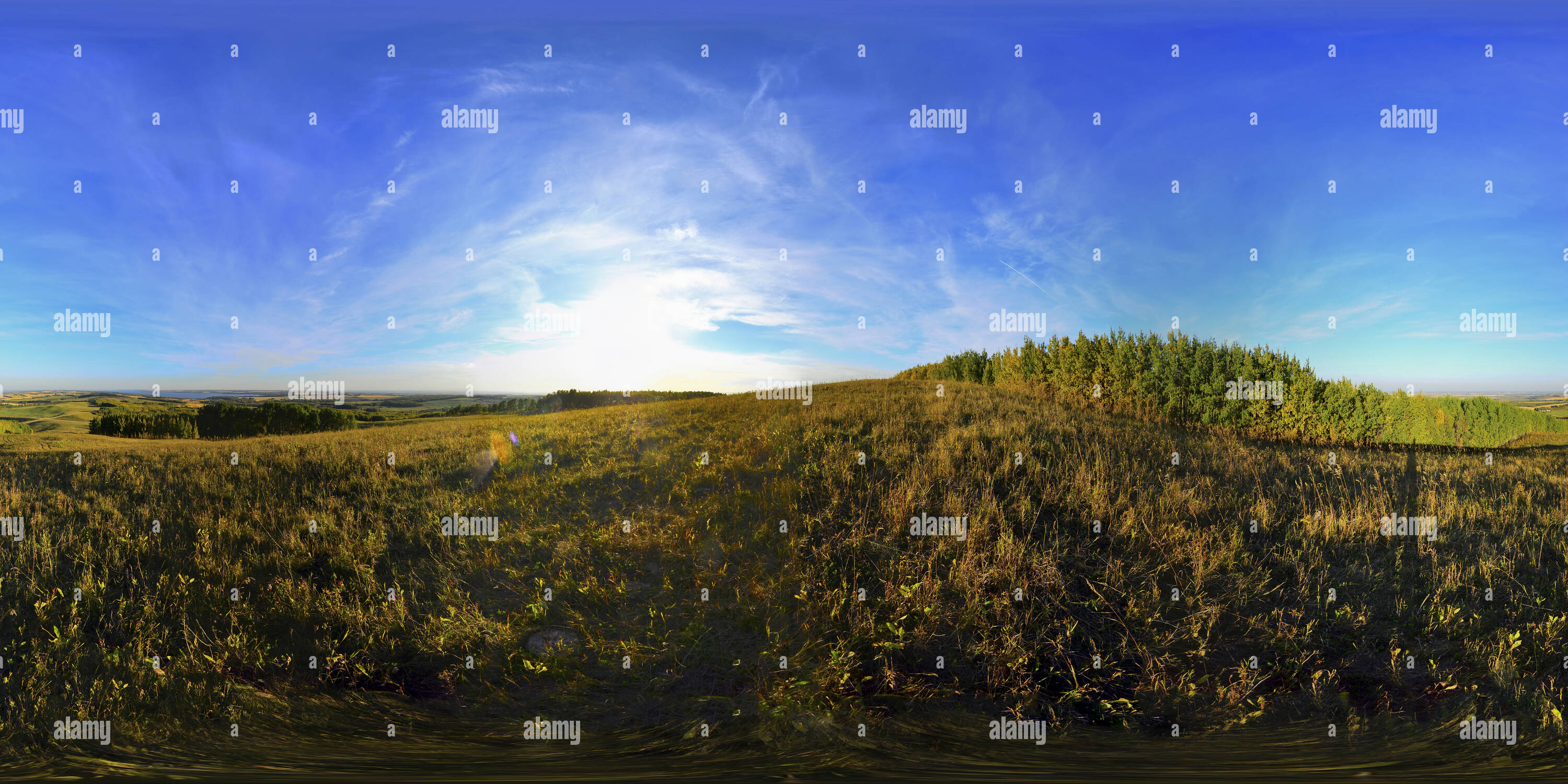 360 Grad Panorama Ansicht von Mit Blick auf Sylvan Lake, Alberta