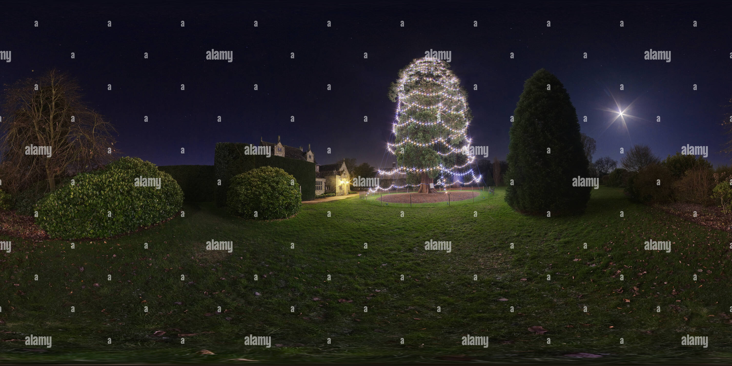 360 Grad Panorama Ansicht von Wakehurst Place 'Christmas Tree' Dez 2008