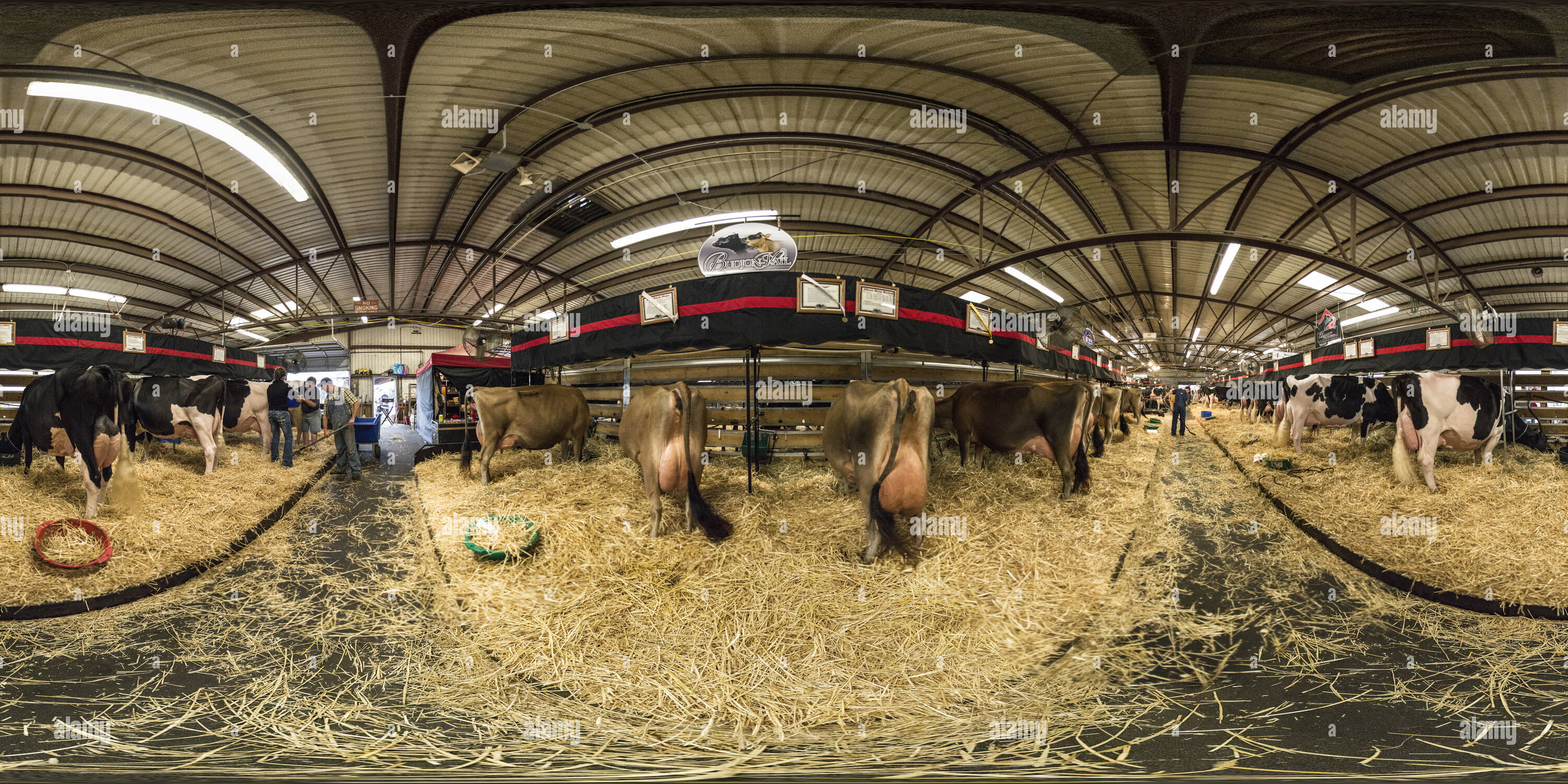 360 Grad Panorama Ansicht von Suppertime auf der World Dairy Expo 2013