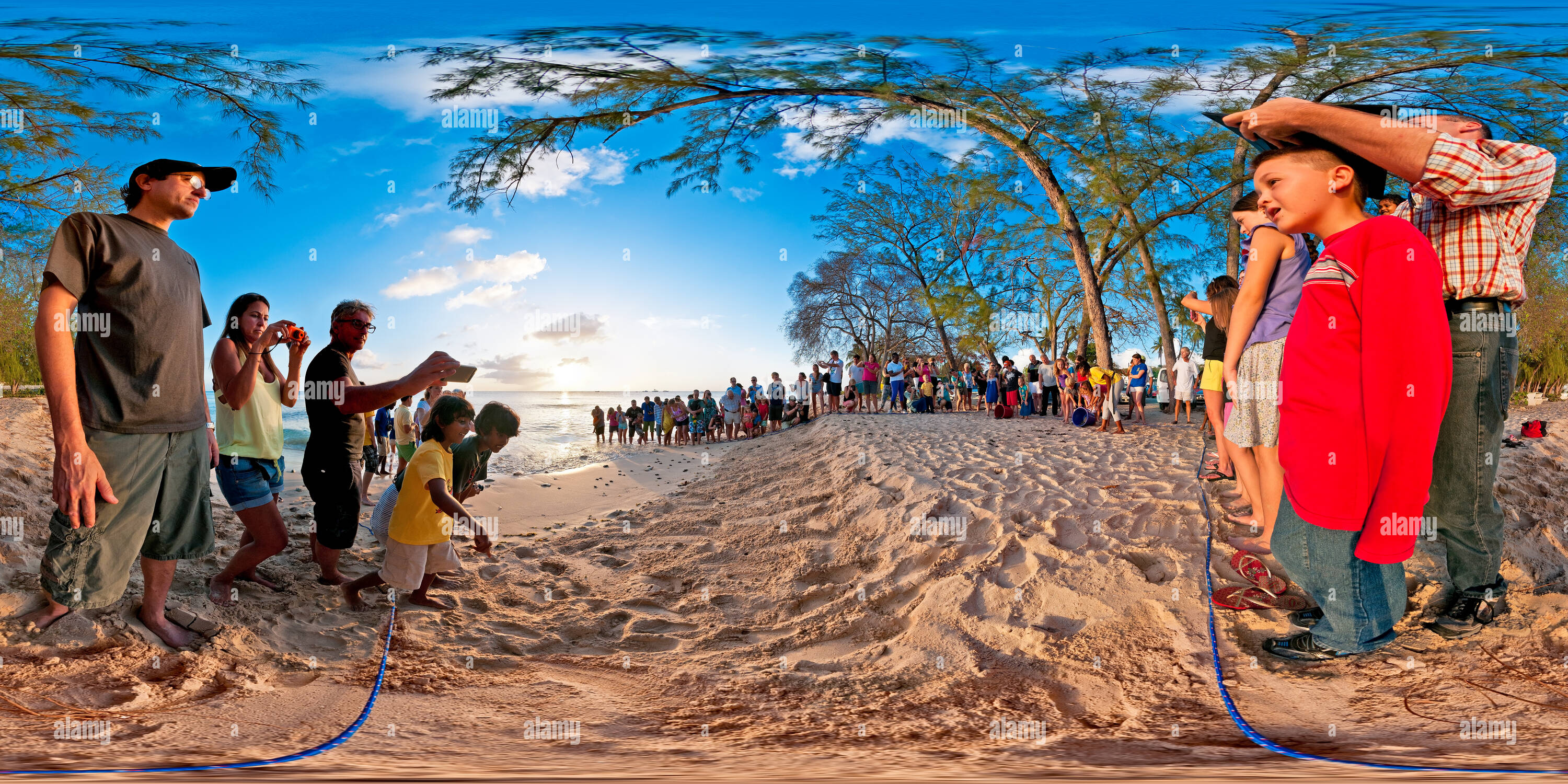 360 Grad Panorama Ansicht von Freigabe Schildkröten