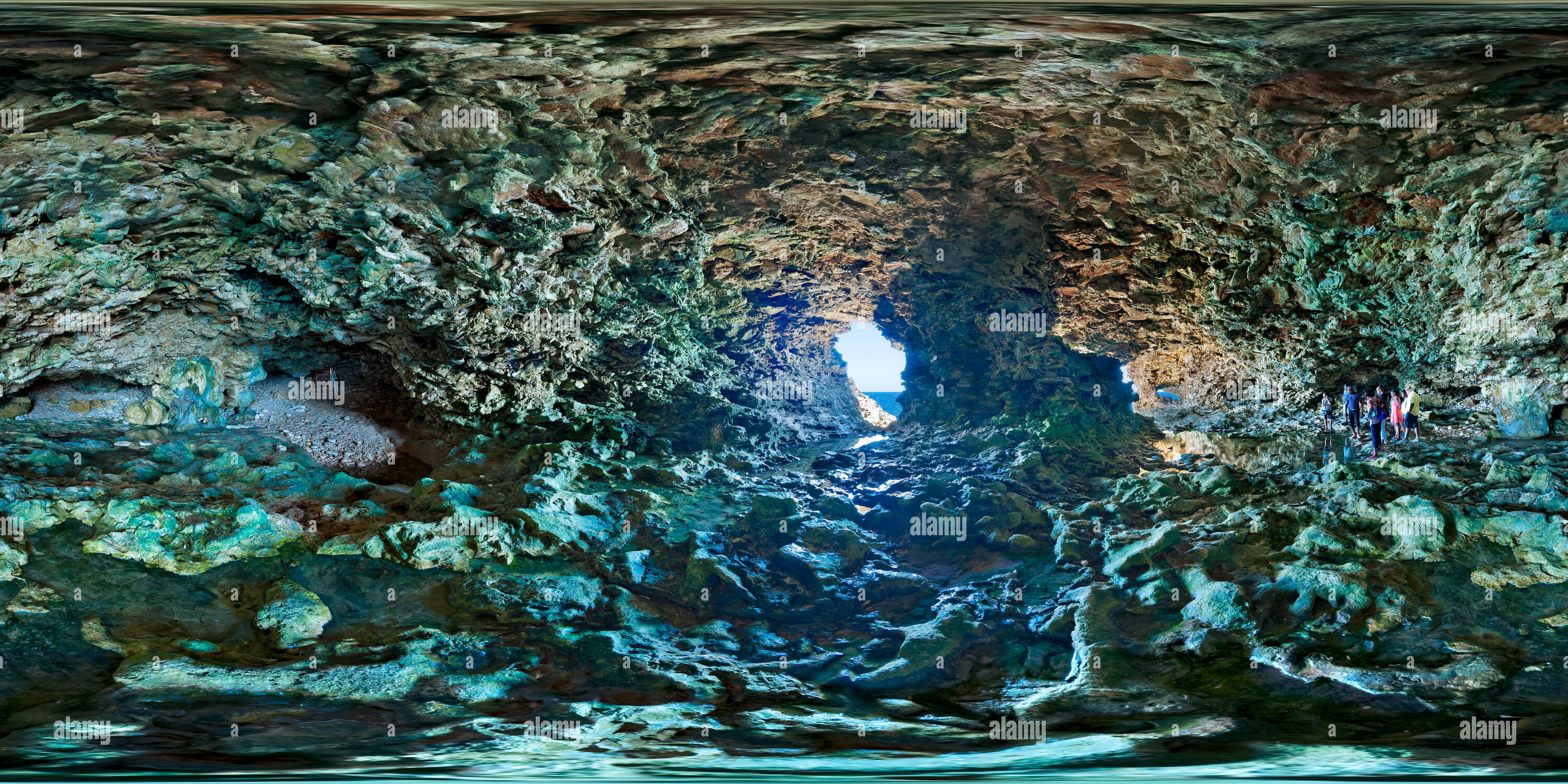 360 Grad Panorama Ansicht von Tier Blume Höhle 3.