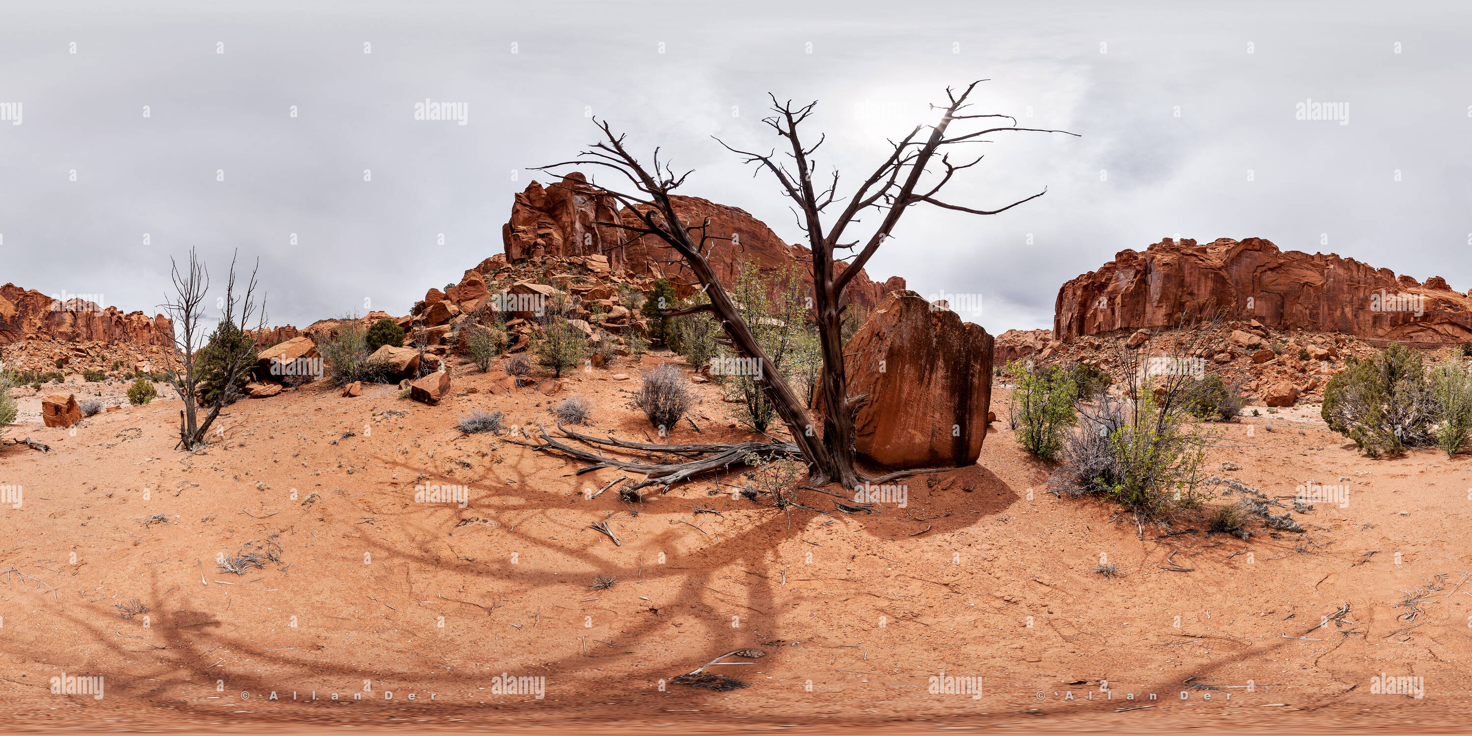 360 Grad Panorama Ansicht von Wolverine Petrified Forest