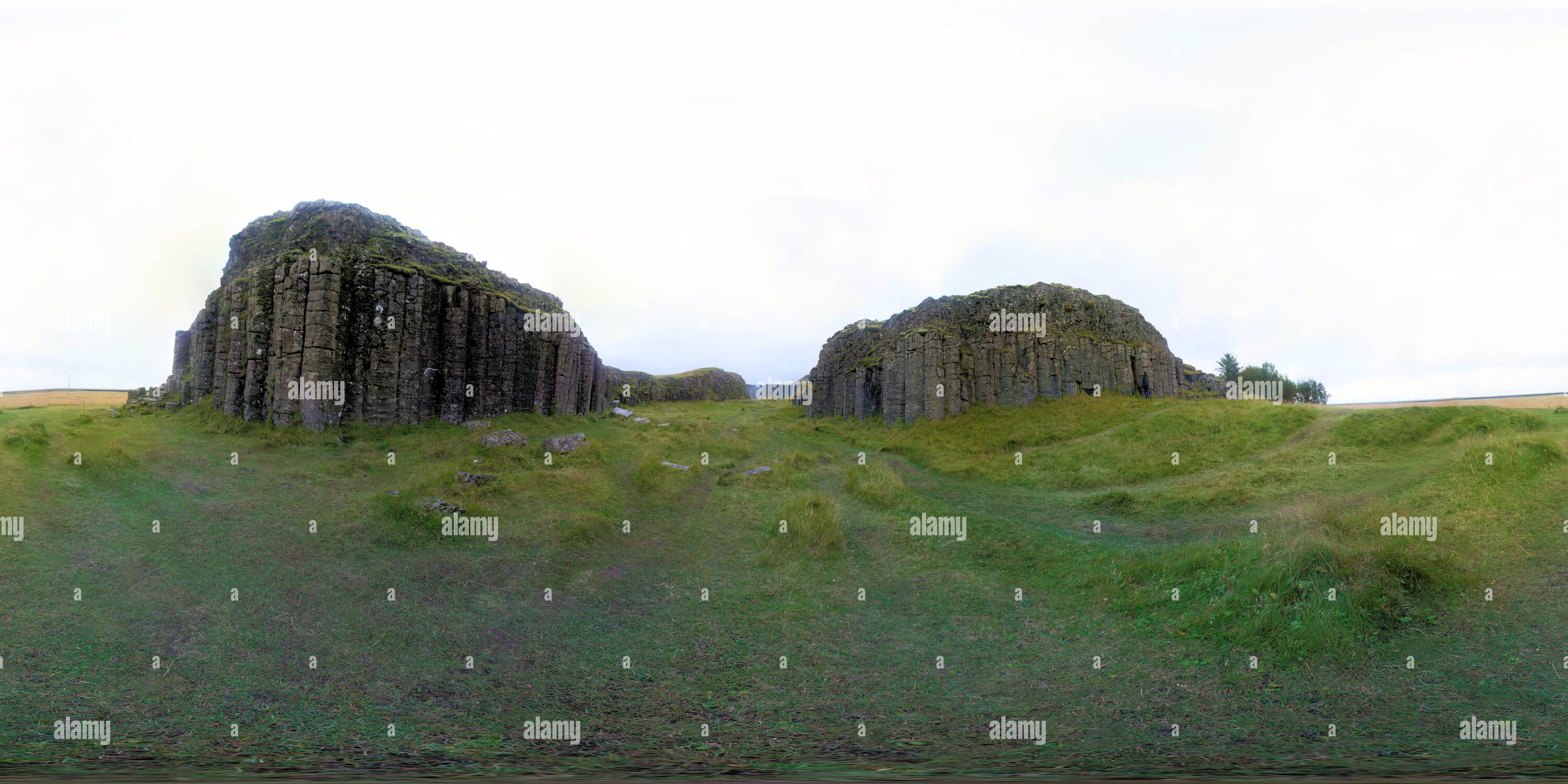 Basalt Columns Dverghamrar Iceland Stockfotos und bilder Kaufen Alamy