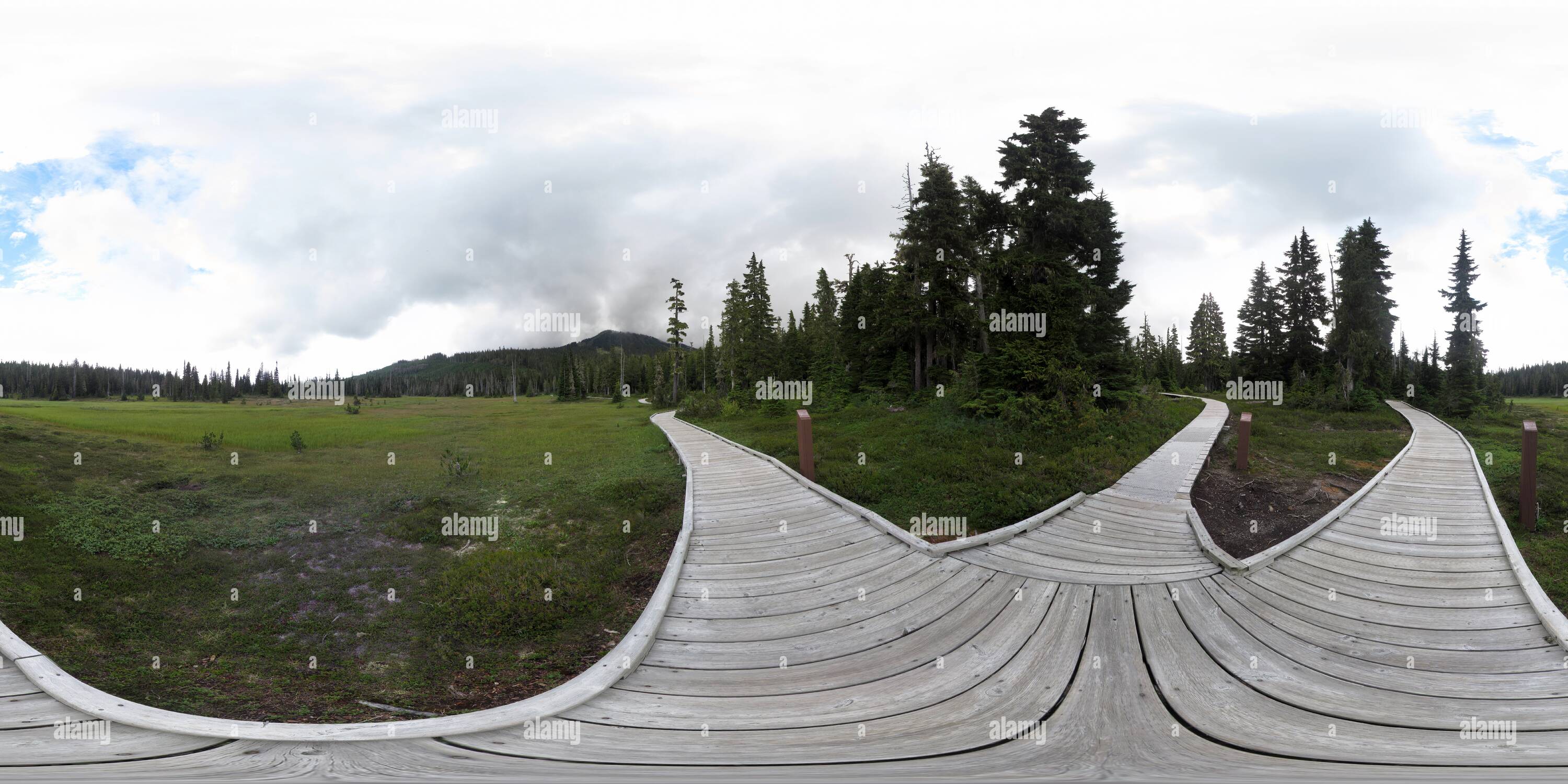 360 Grad Panorama Ansicht von Paradise Meadows