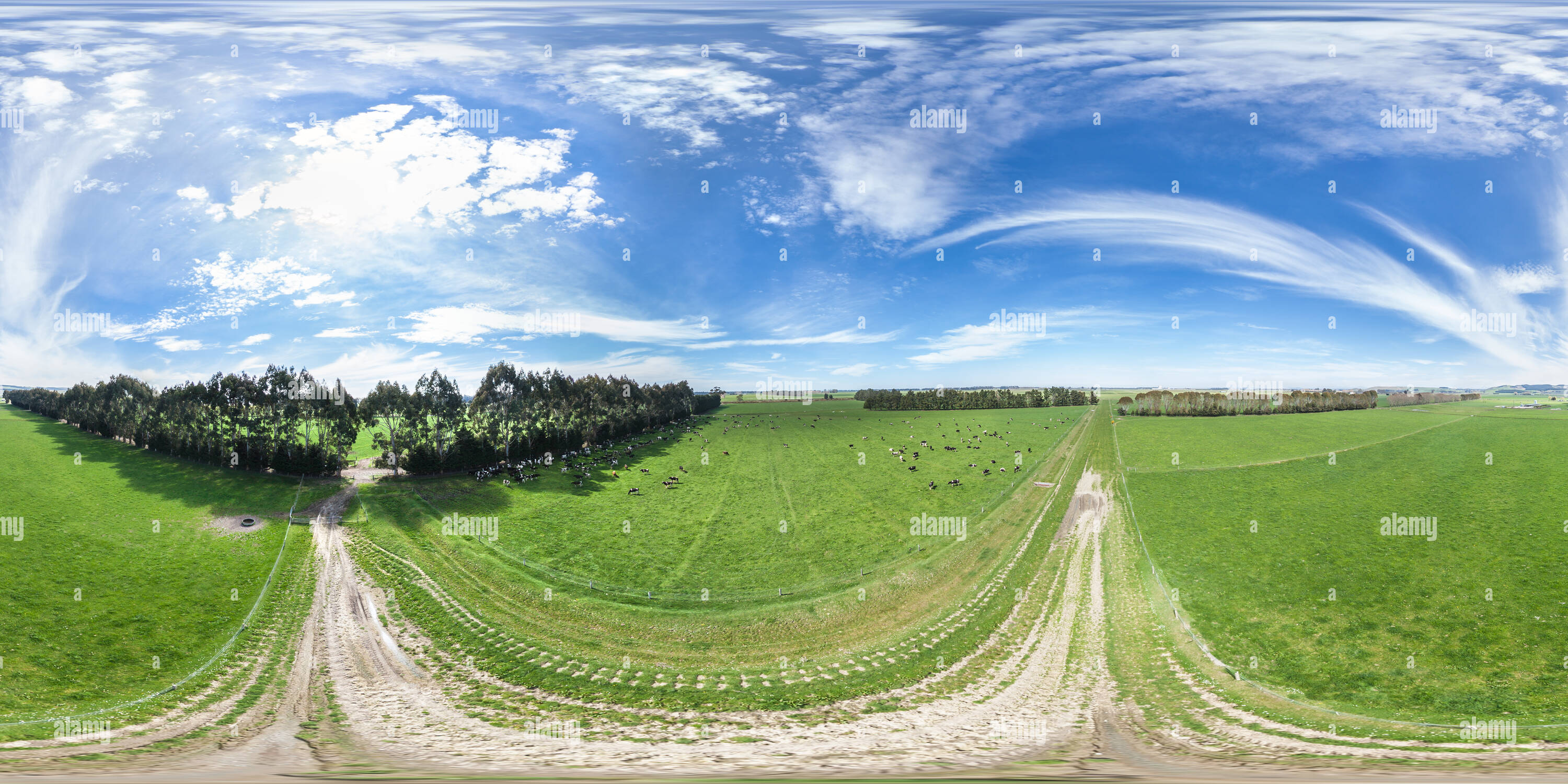 360 Grad Panorama Ansicht von 360 Antenne Pano der Kühe Bauernhof - Ozeanien Molkerei - Morven - South Canterbury - Neuseeland - Ozeanien