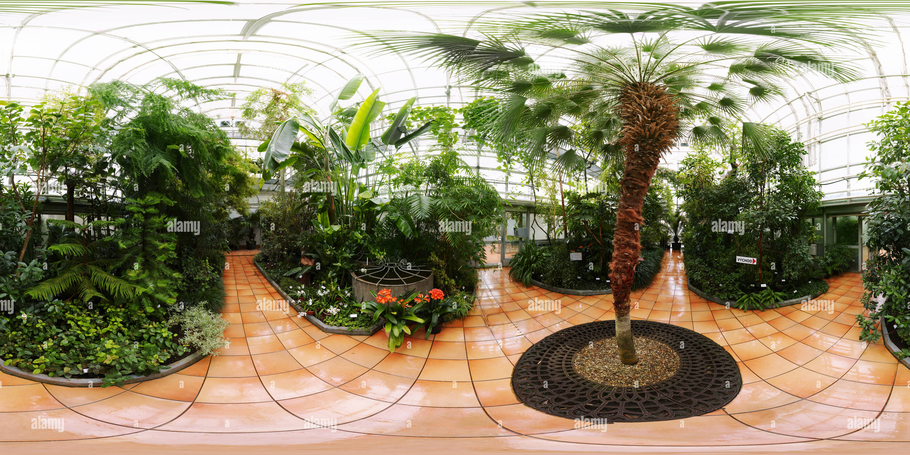 360 Grad Panorama Ansicht von Gewächshaus im Botanischen Garten in der Masaryk Universität Brno