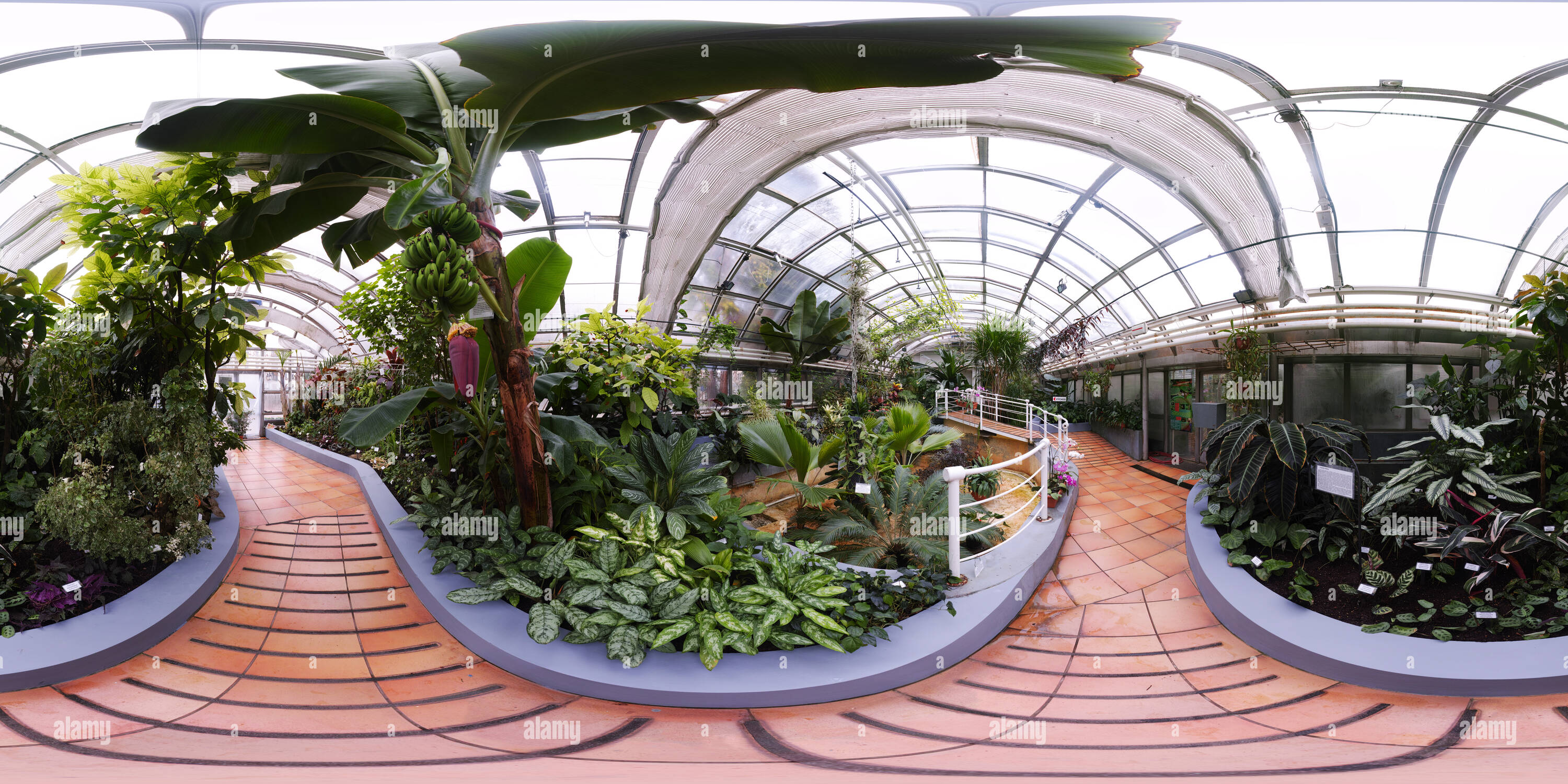 360 Grad Panorama Ansicht von Gewächshaus im Botanischen Garten in der Masaryk Universität Brünn 2.