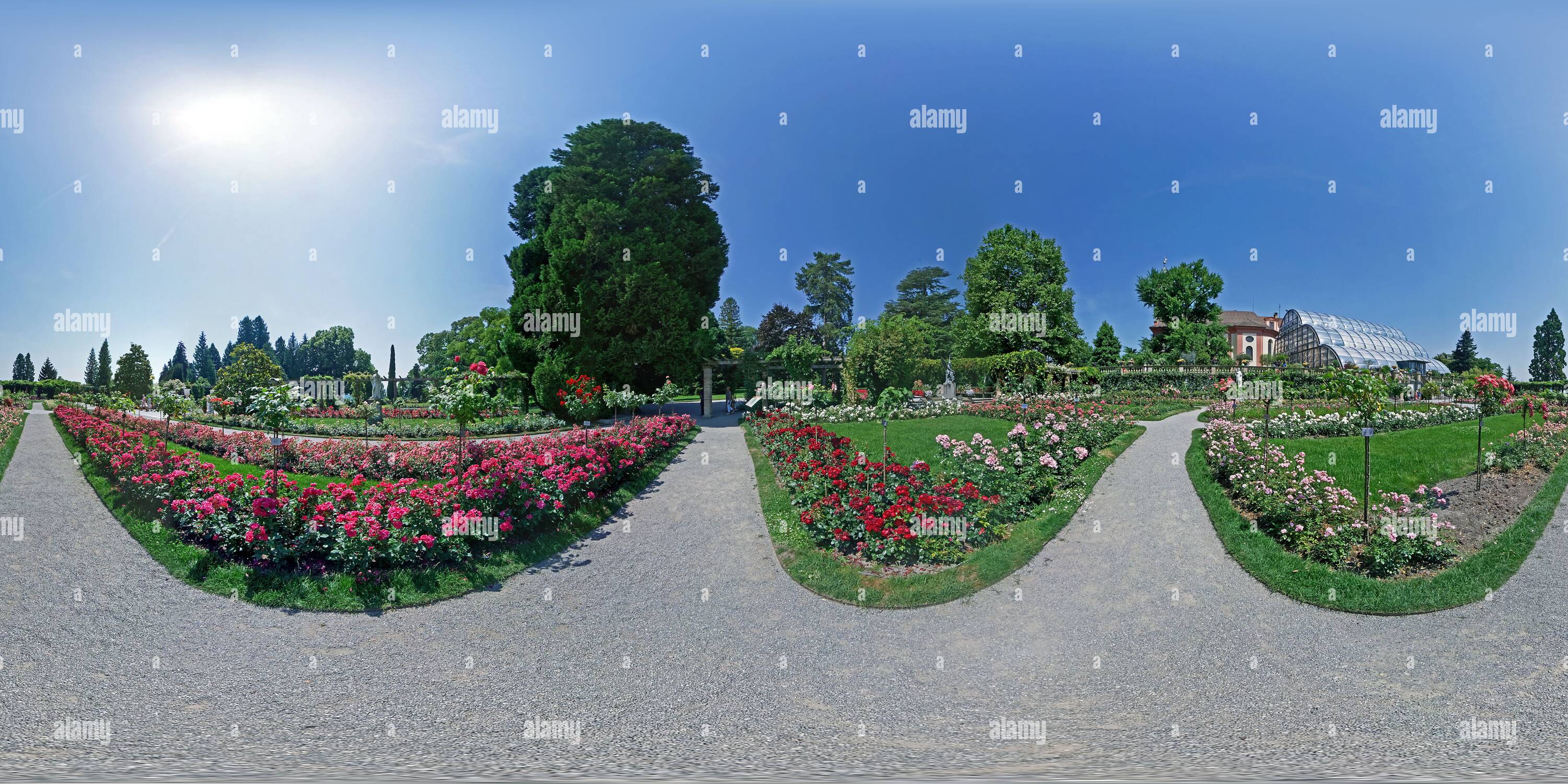 360 Grad Panorama Ansicht von Mainau, Italienisch Rosen Garten, Ansicht 2