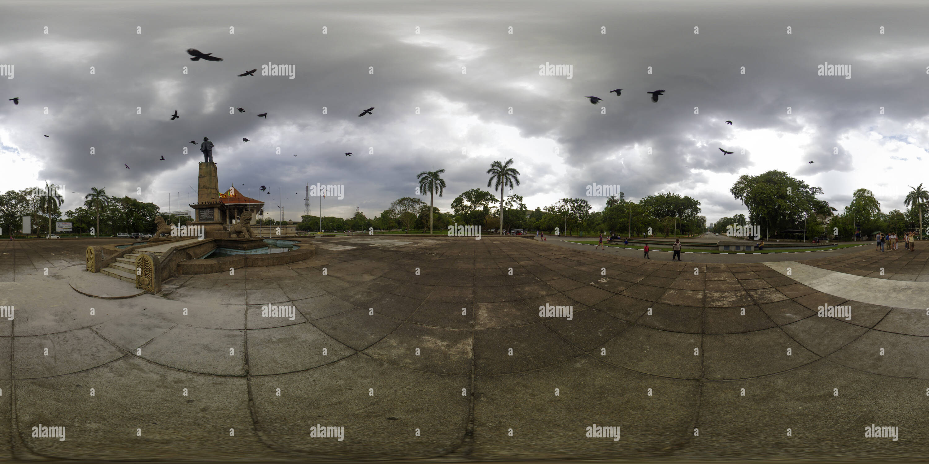 360 Grad Panorama Ansicht von Hitchcock Vögel auf dem Unabhängigkeitsplatz in Colombo, Sri Lanka