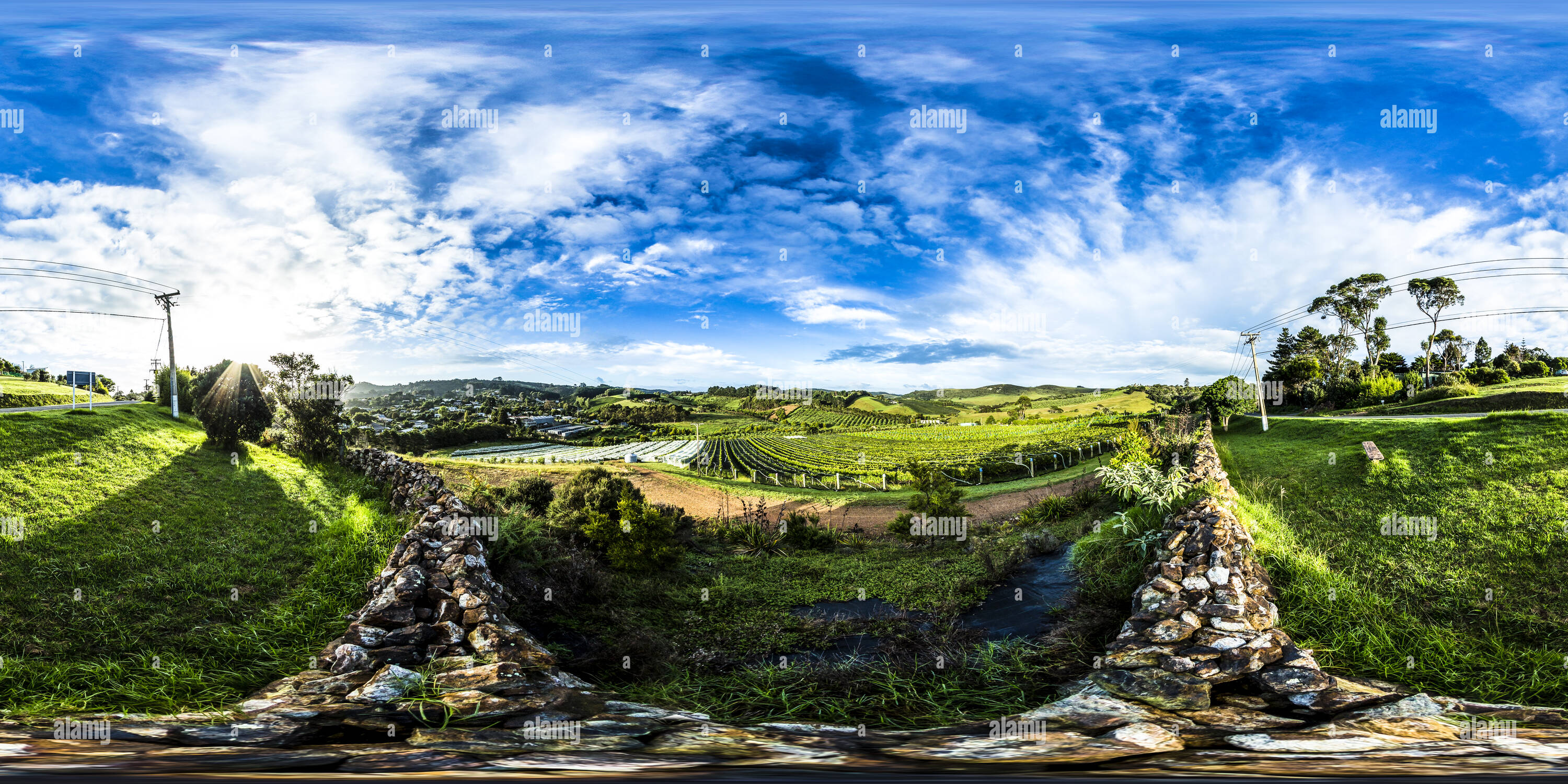 360 Grad Panorama Ansicht von Heu Paddock Weinberg - Waiheke Island Auckland - Golf von Hauraki - Neuseeland