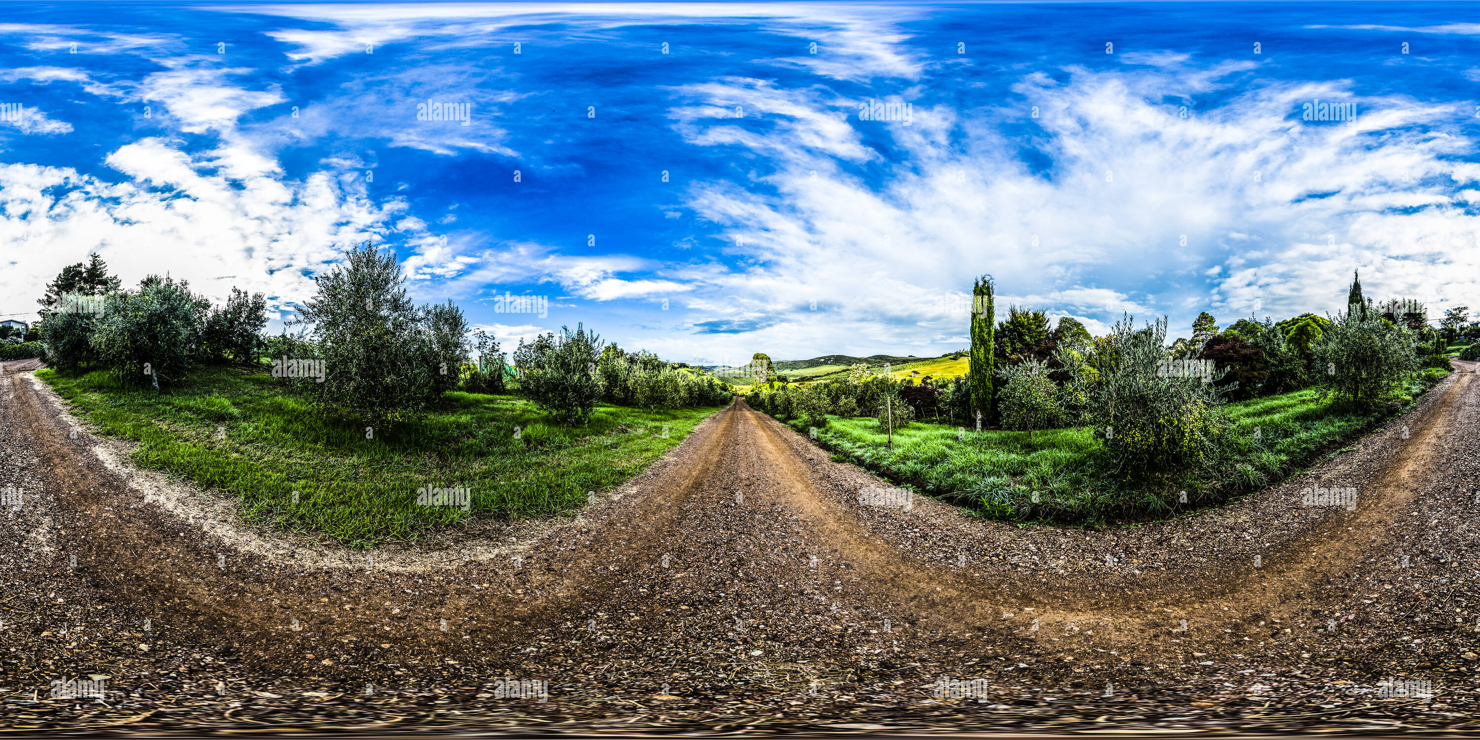 360 Grad Panorama Ansicht von Heu Paddock Weine - Waiheke Island Auckland - Golf von Hauraki - Neuseeland