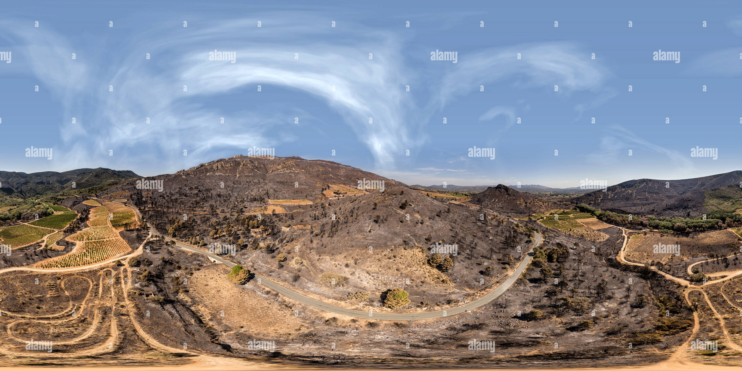 360 Grad Panorama Ansicht von Grapeyard - Weinberge in der Nähe von Padern, Süd Frankreich