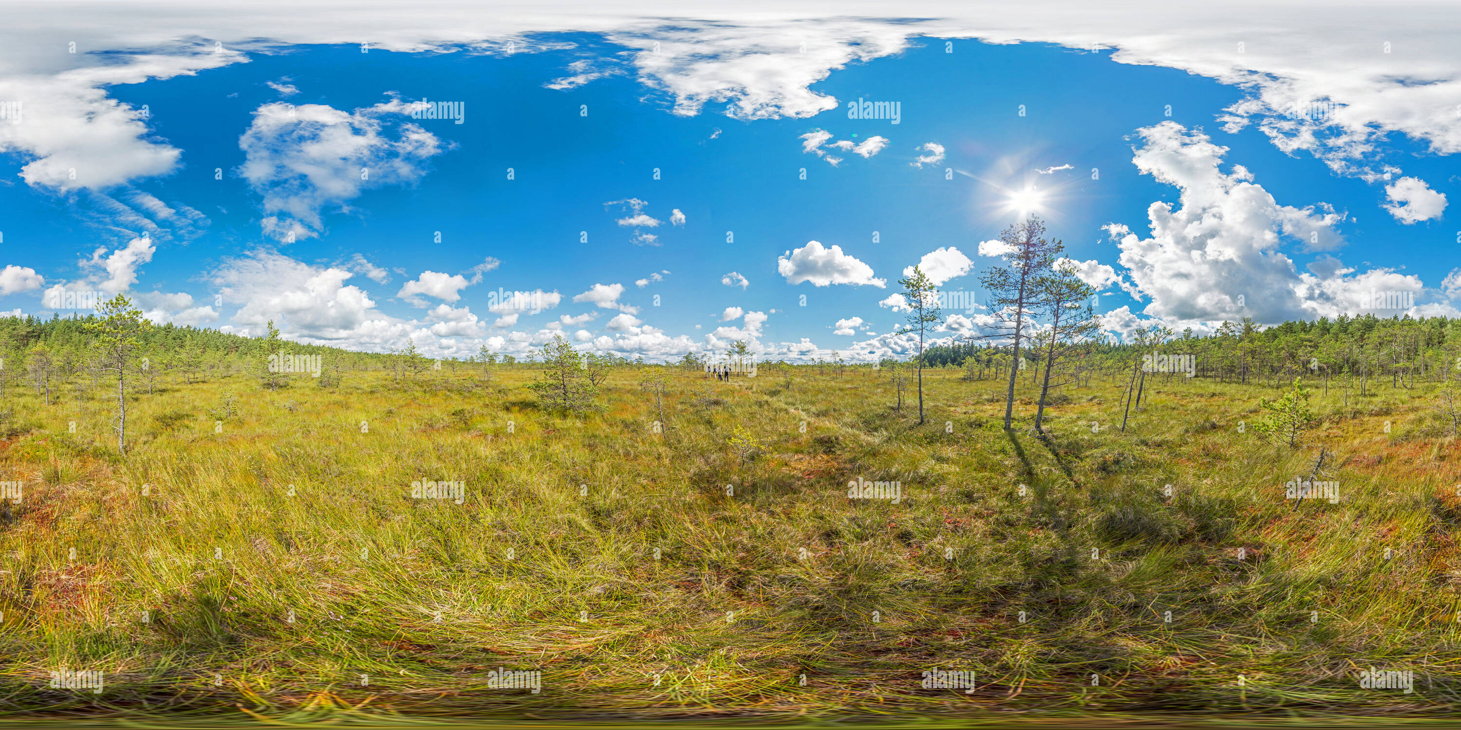 360 Grad Panorama Ansicht von Estland - Soomaa Nationalpark 1 - Eingabe der Bog