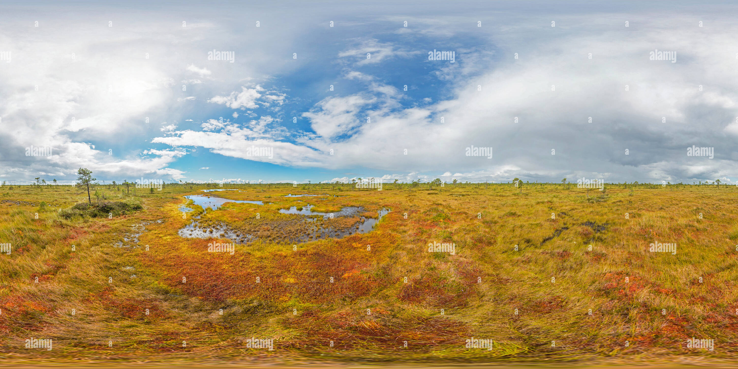 360 Grad Panorama Ansicht von Estland - Soomaa Nationalpark 2 - Bunte Bog