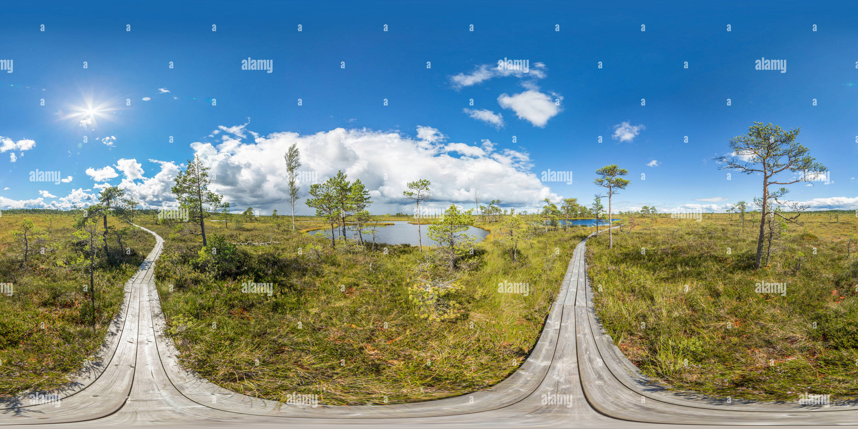 360 Grad Panorama Ansicht von Estland - Soomaa Nationalpark 4 - Der Boardwalk