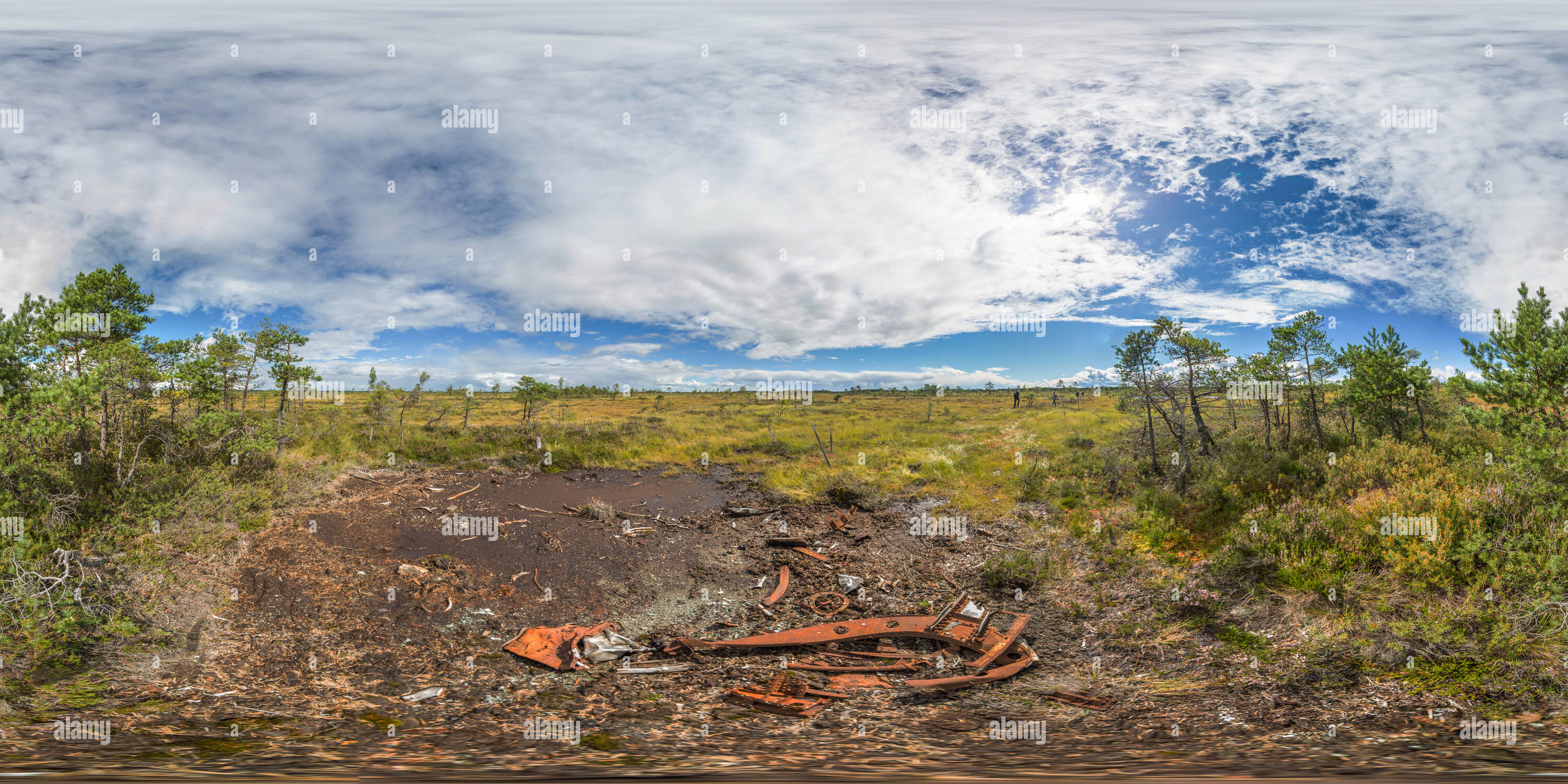 360 Grad Panorama Ansicht von Estland - Soomaa Nationalpark 3 - Flugzeugabsturz