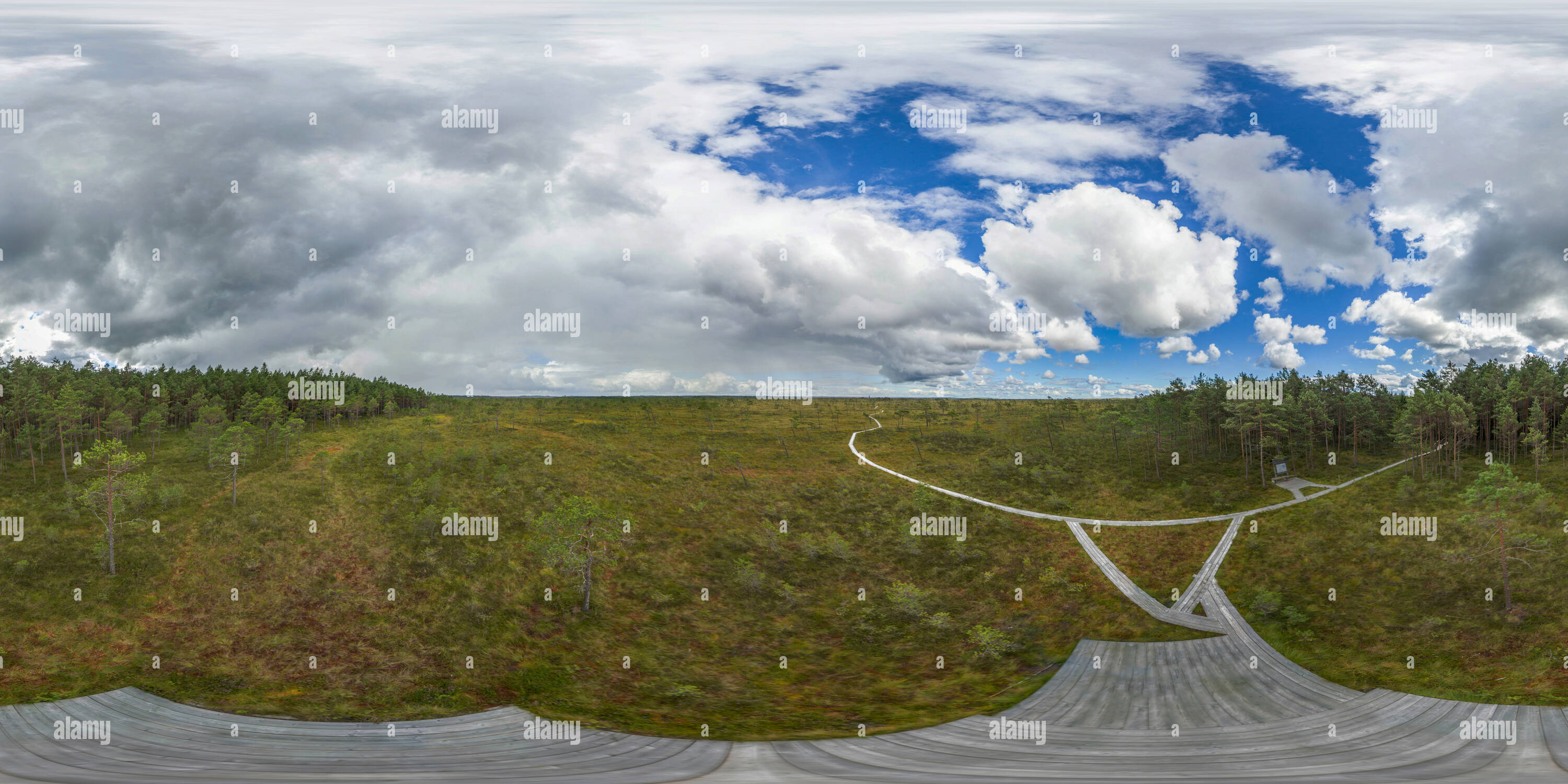 360 Grad Panorama Ansicht von Estland - Soomaa Nationalpark 5 - Luftbild vom Aussichtsturm