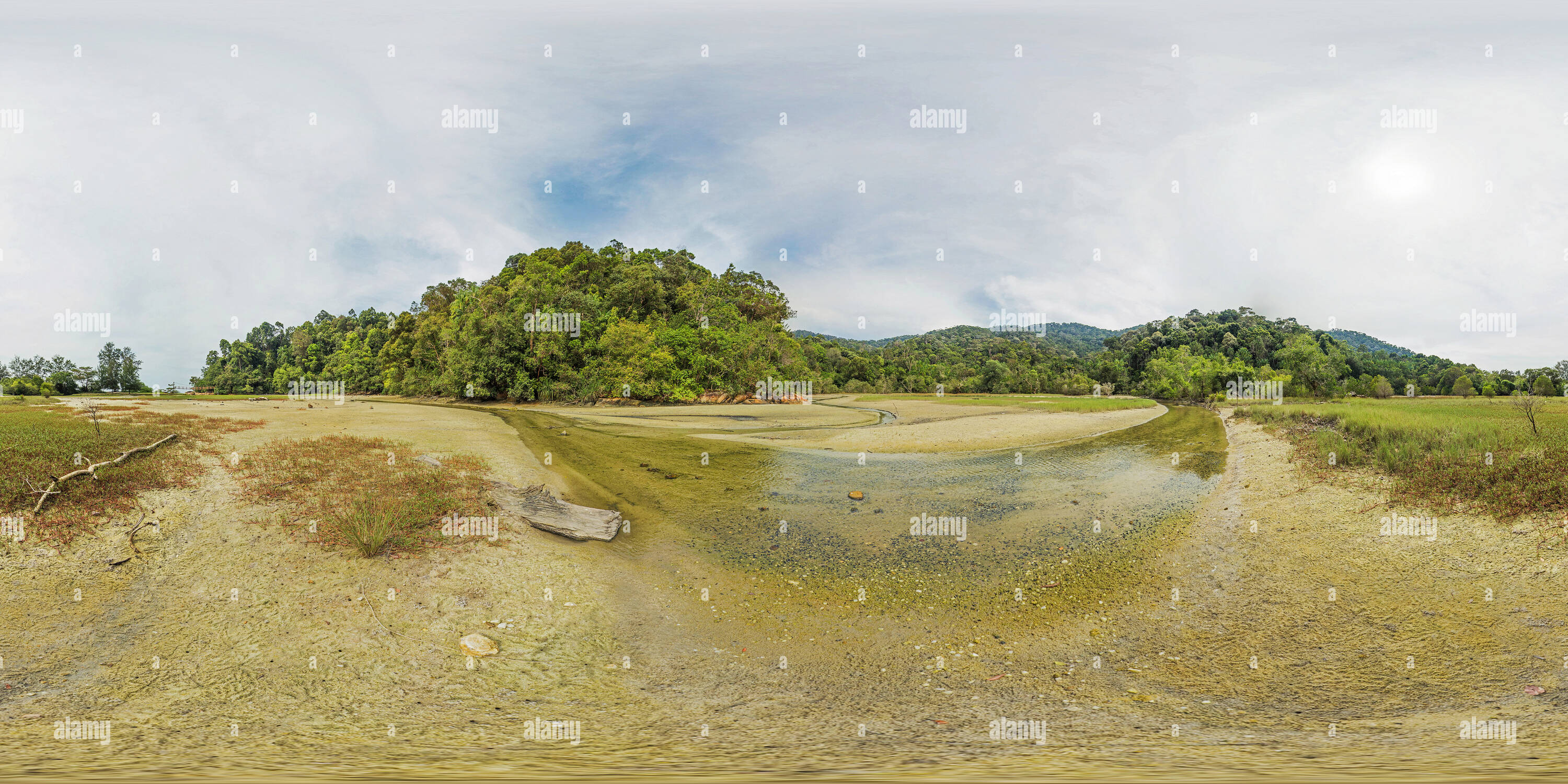 360 Grad Panorama Ansicht von MALAYSIA - Penang Nationalpark - Meromictic See 2