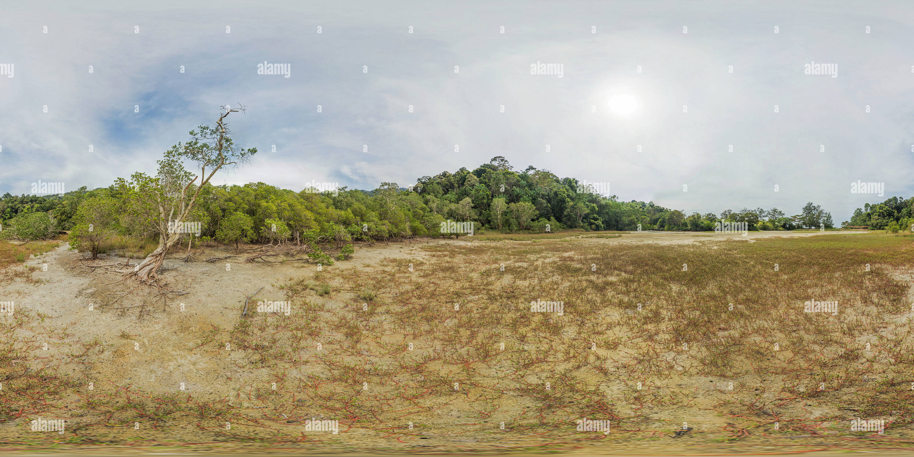 360 Grad Panorama Ansicht von MALAYSIA - Penang Nationalpark - Meromictic See 3