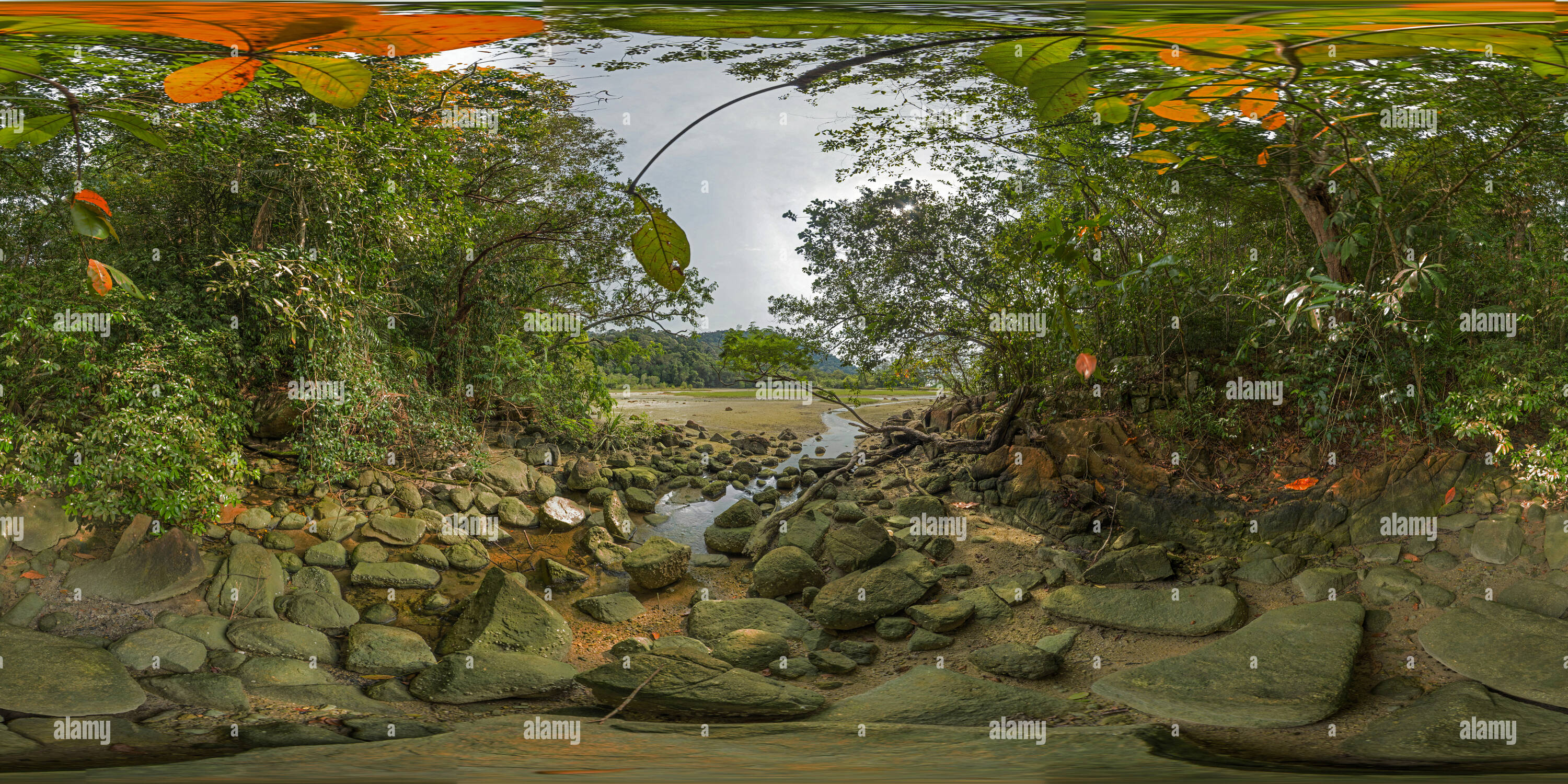 360 Grad Panorama Ansicht von MALAYSIA - Penang Nationalpark - Dschungel in der Nähe des Meromictic See