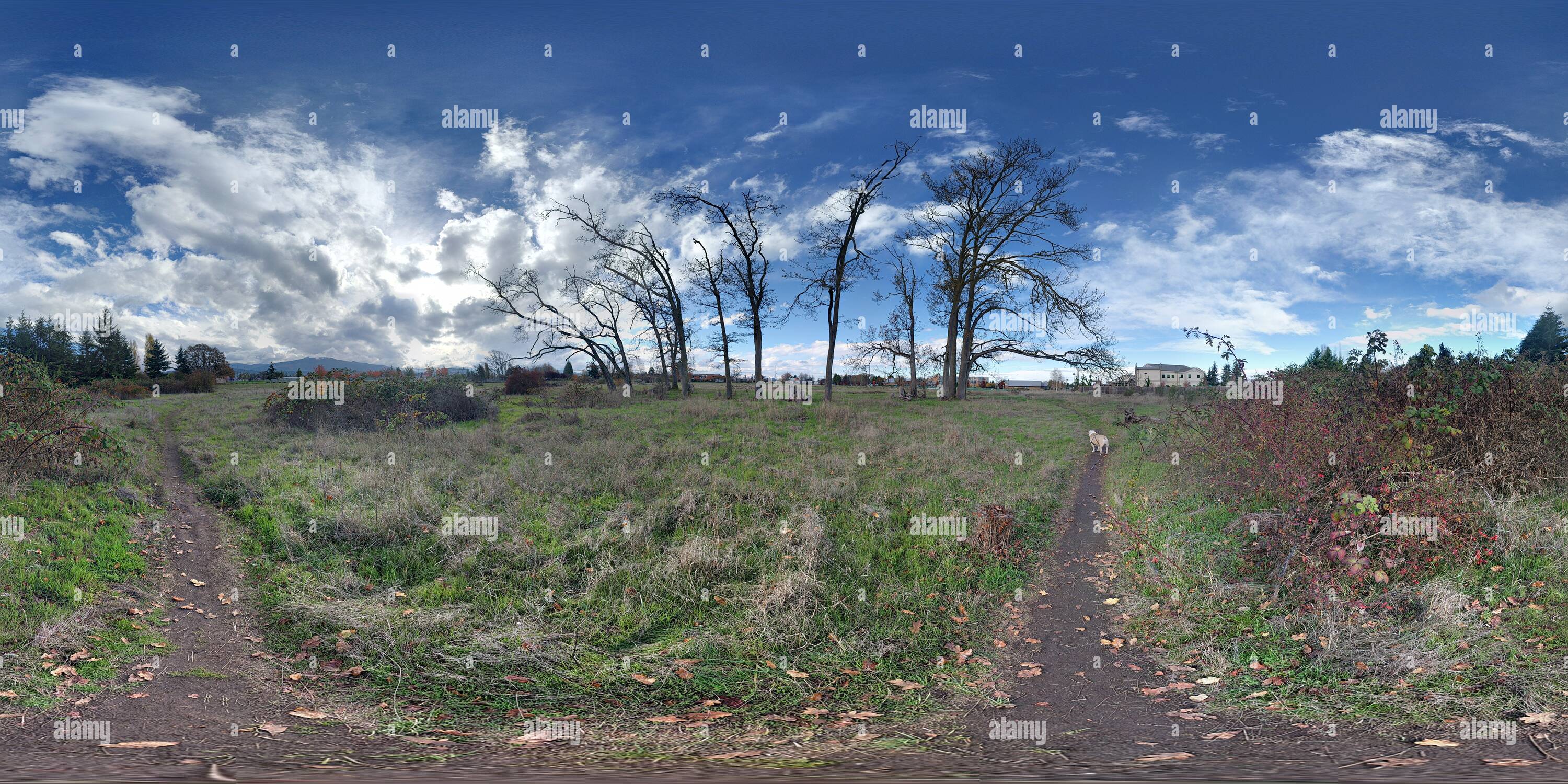 360 Grad Panorama Ansicht von Sequim, Washington