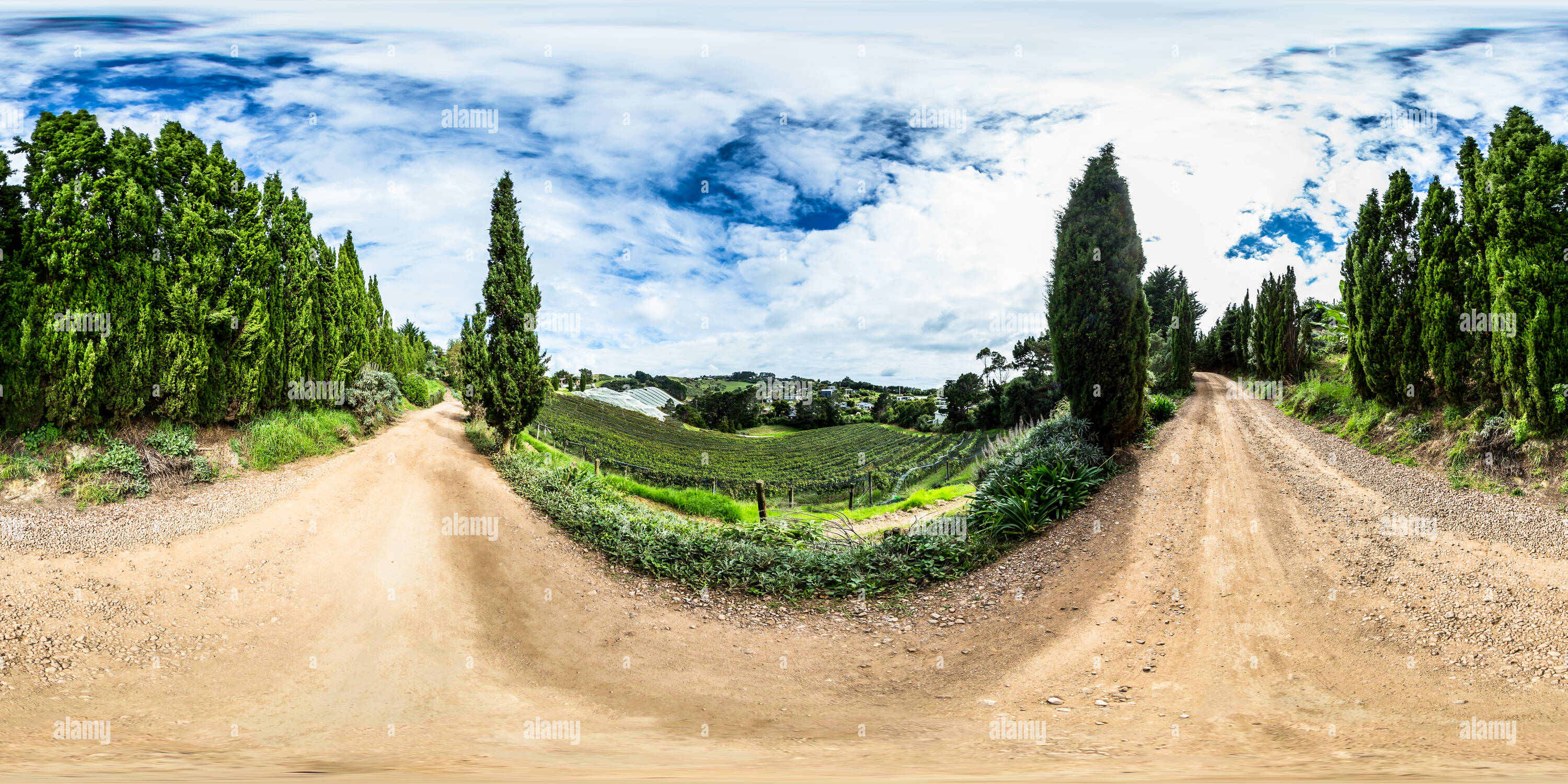 360 Grad Panorama Ansicht von Casita Miro Miro - Weinberg - Waiheke Island Auckland - Golf von Hauraki - Neuseeland