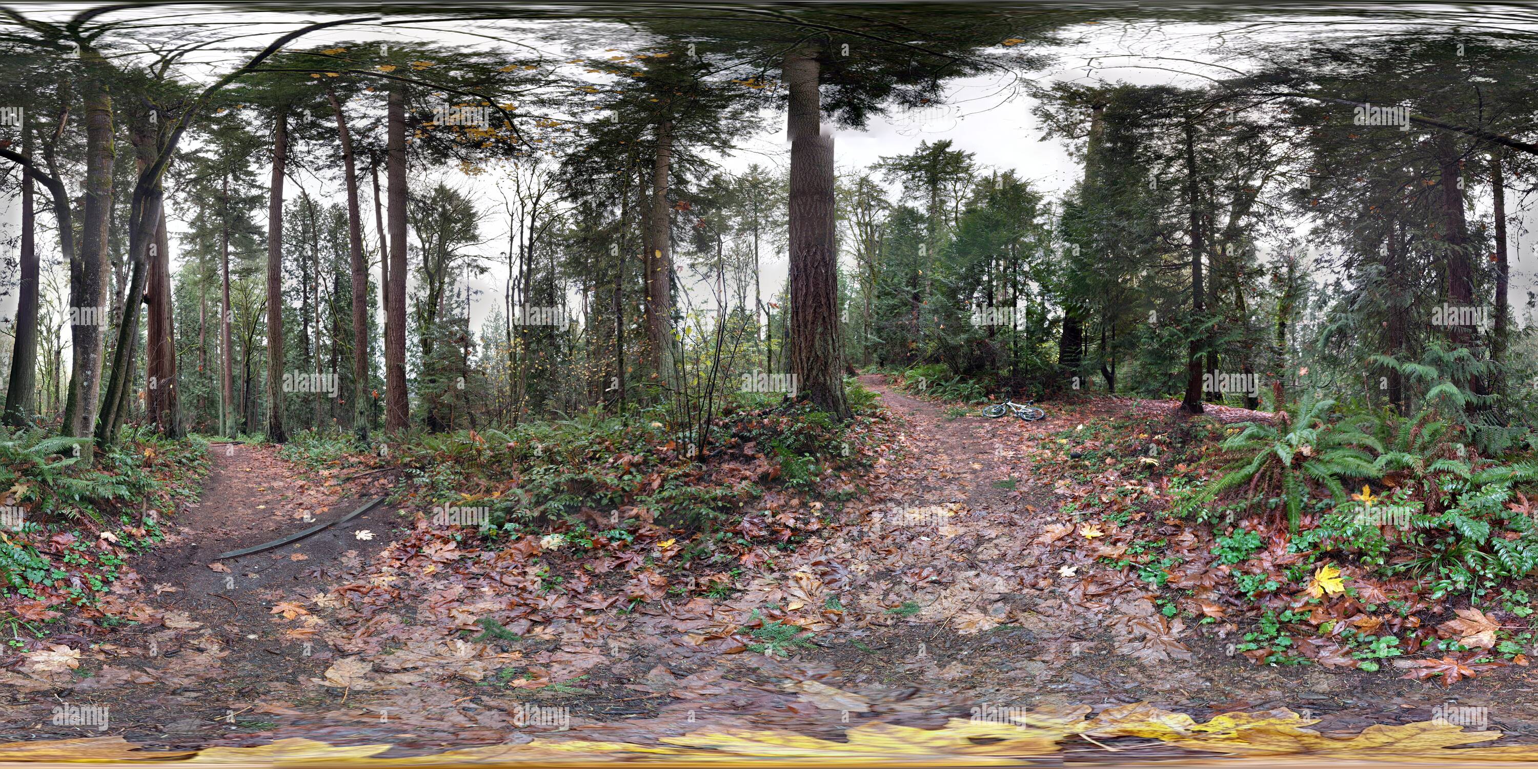 360 Grad Panorama Ansicht von Westside Park Trail in der Nähe von Marymoor Park, Redmond, Washington