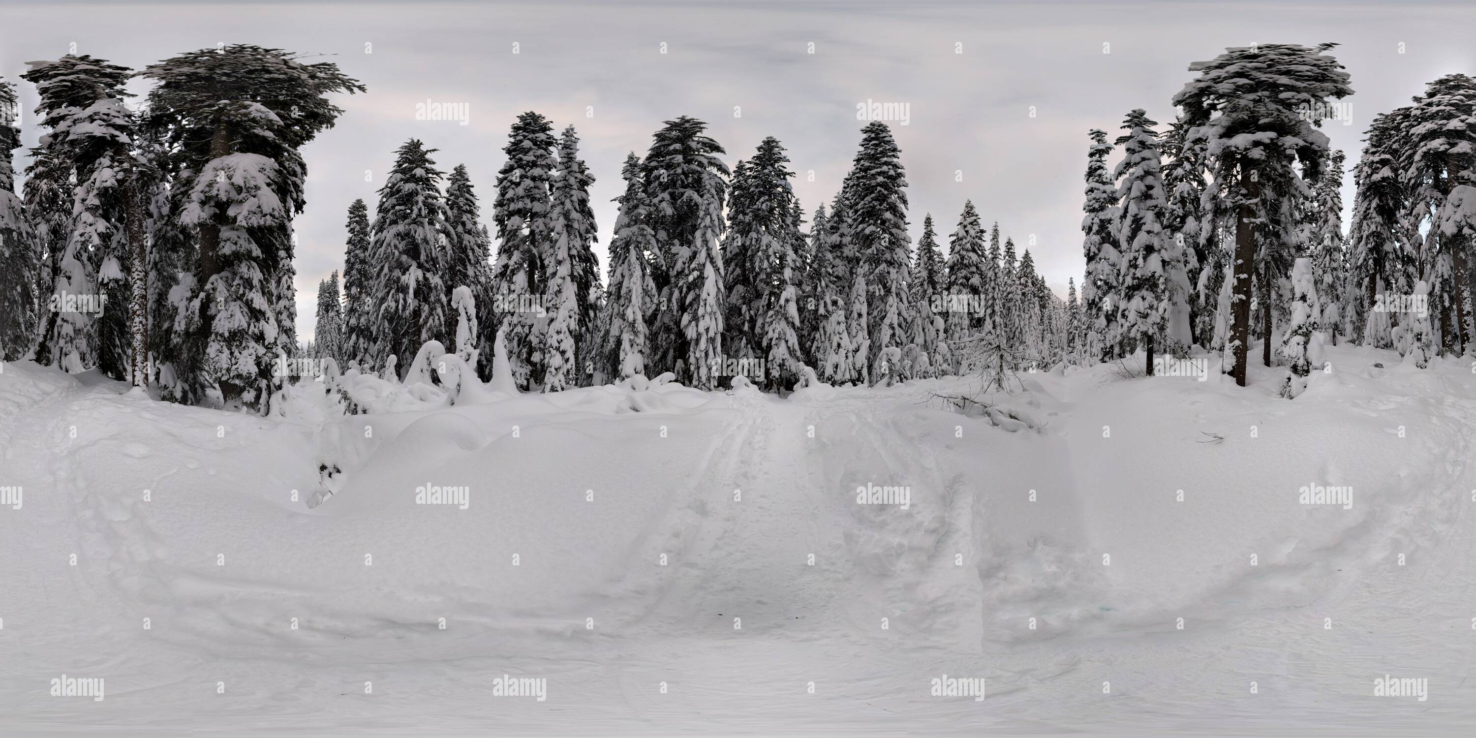 360 Grad Panorama Ansicht von In der Nähe von Snoqualmie Pass im Schnee